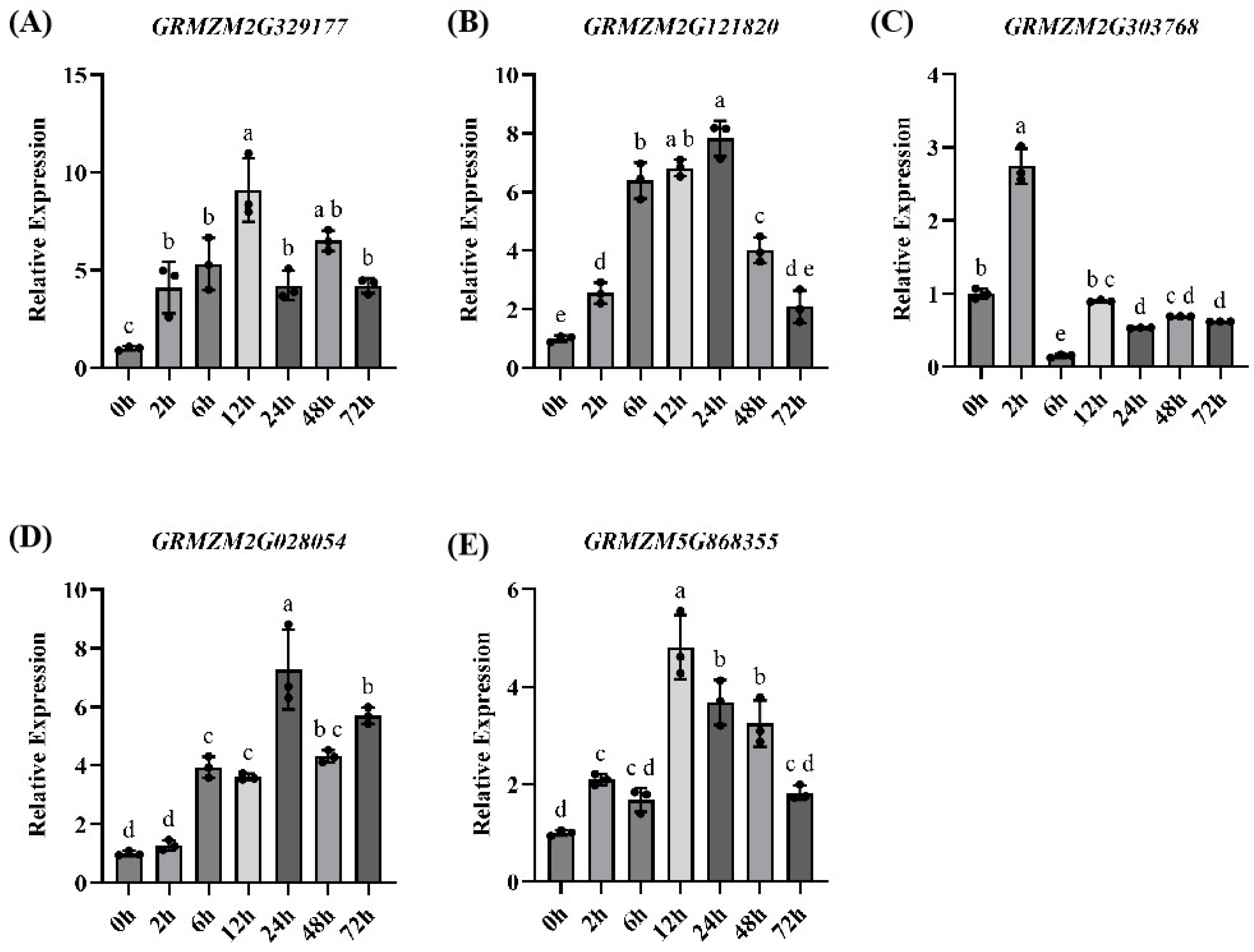 Agronomy 15 02842 g006 Agronomy 15 02842 g006