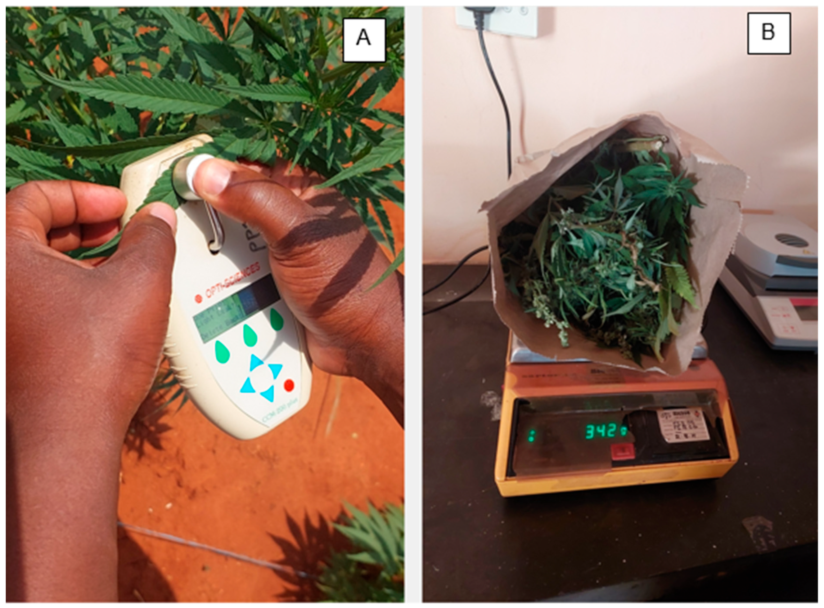 Agronomy 15 02844 g002 Agronomy 15 02844 g002