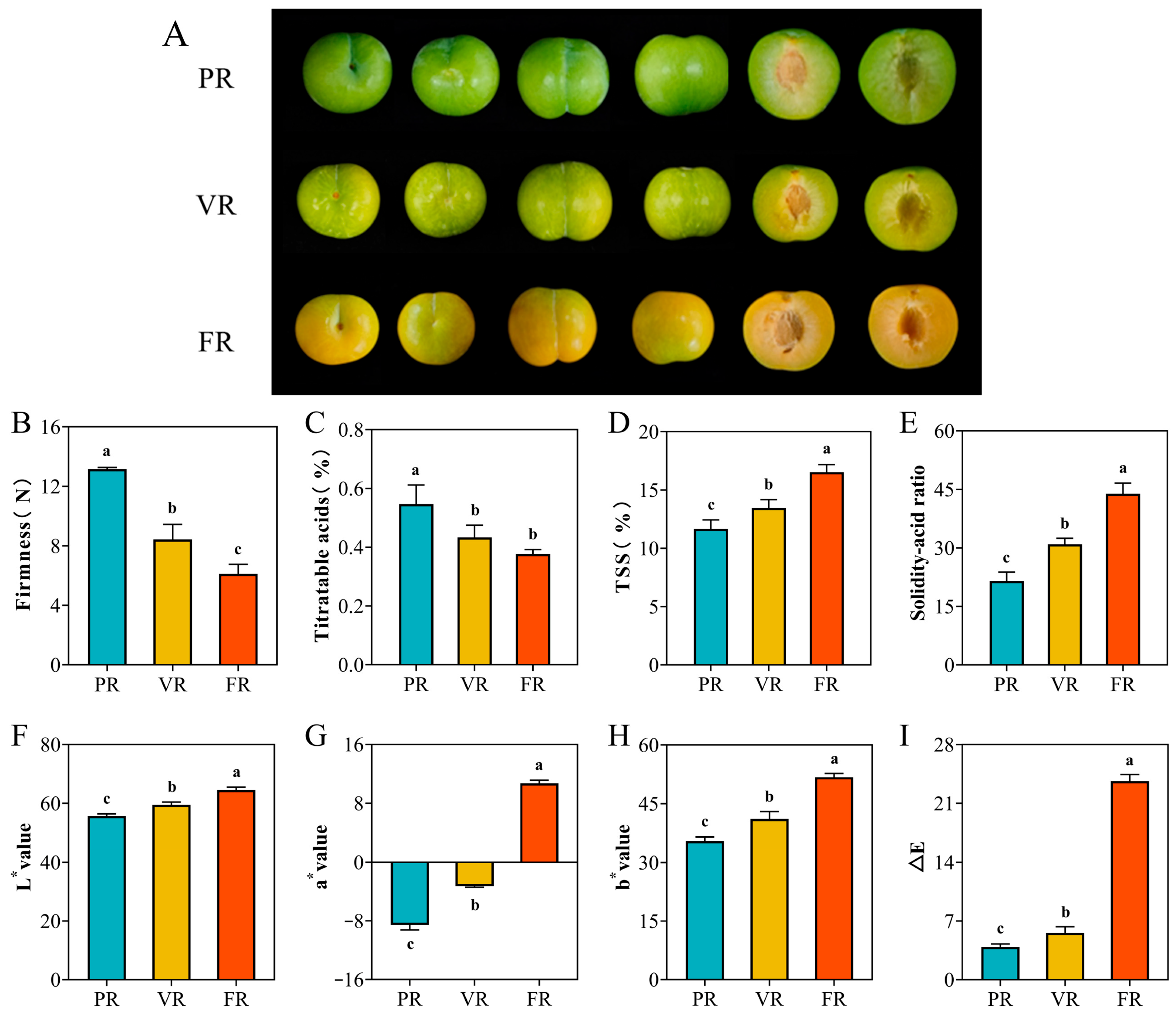 Agronomy 15 02846 g001
