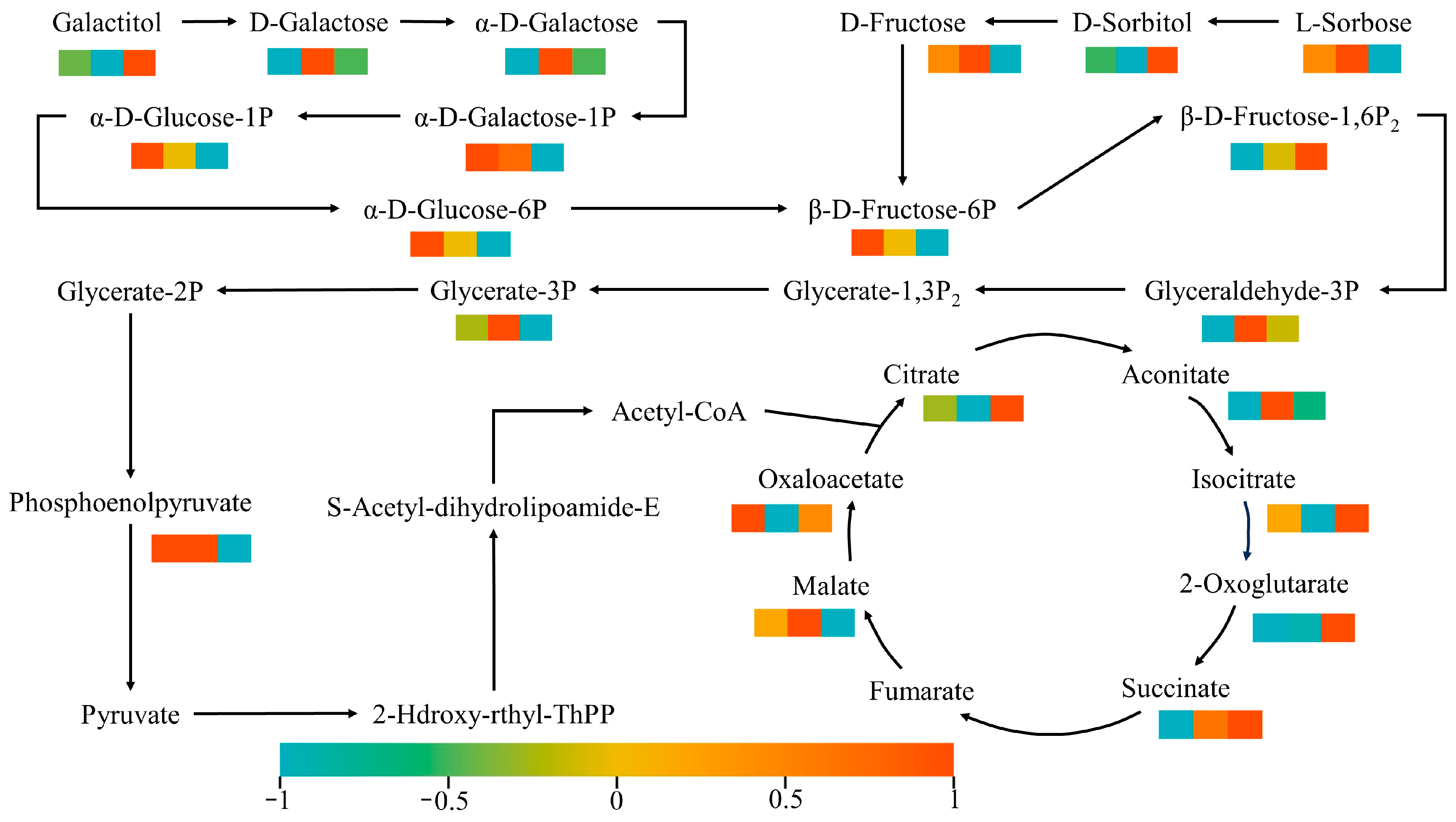 Agronomy 15 02846 g007