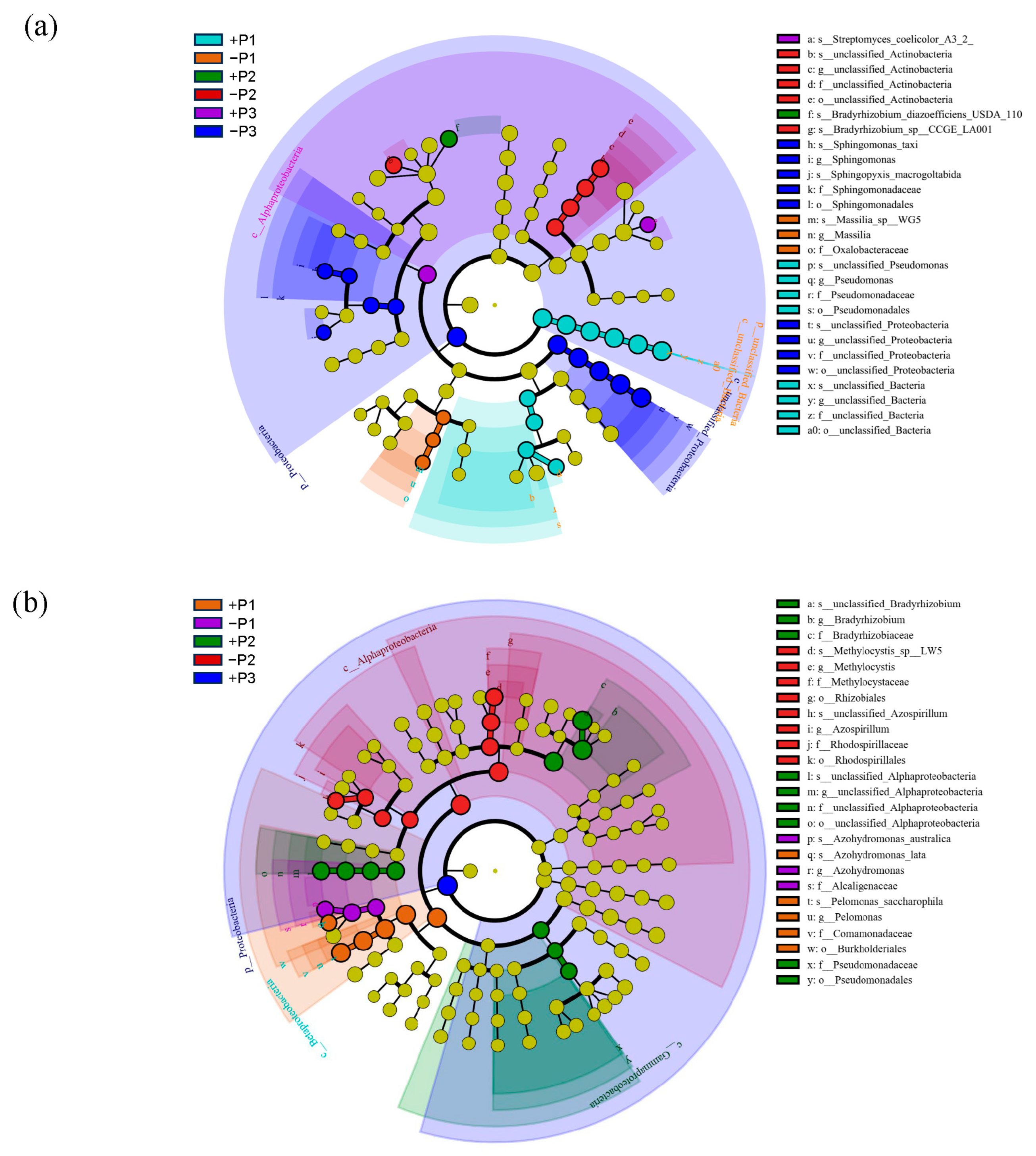 Agronomy 15 02850 g006 Agronomy 15 02850 g006