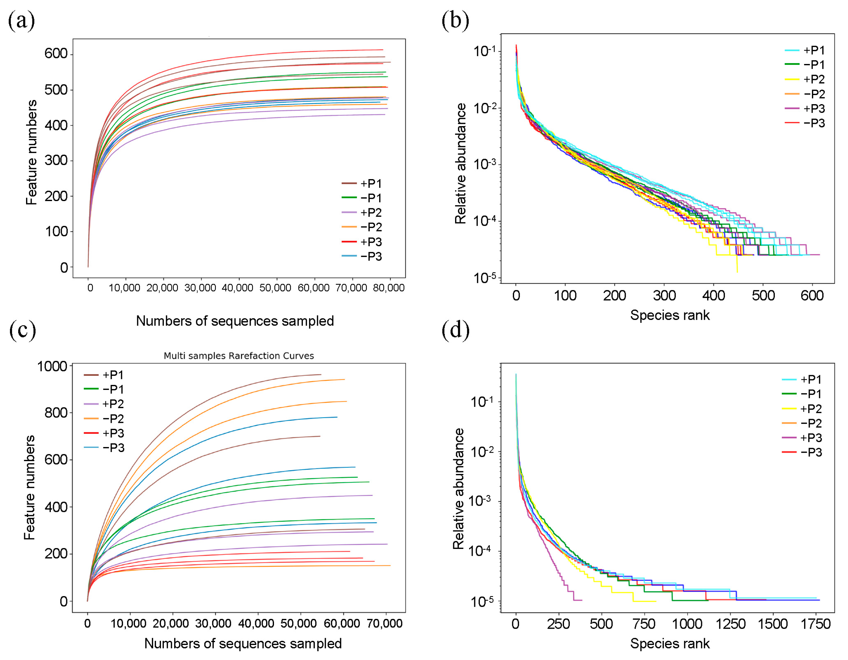 Agronomy 15 02850 g0a2 Agronomy 15 02850 g0a2