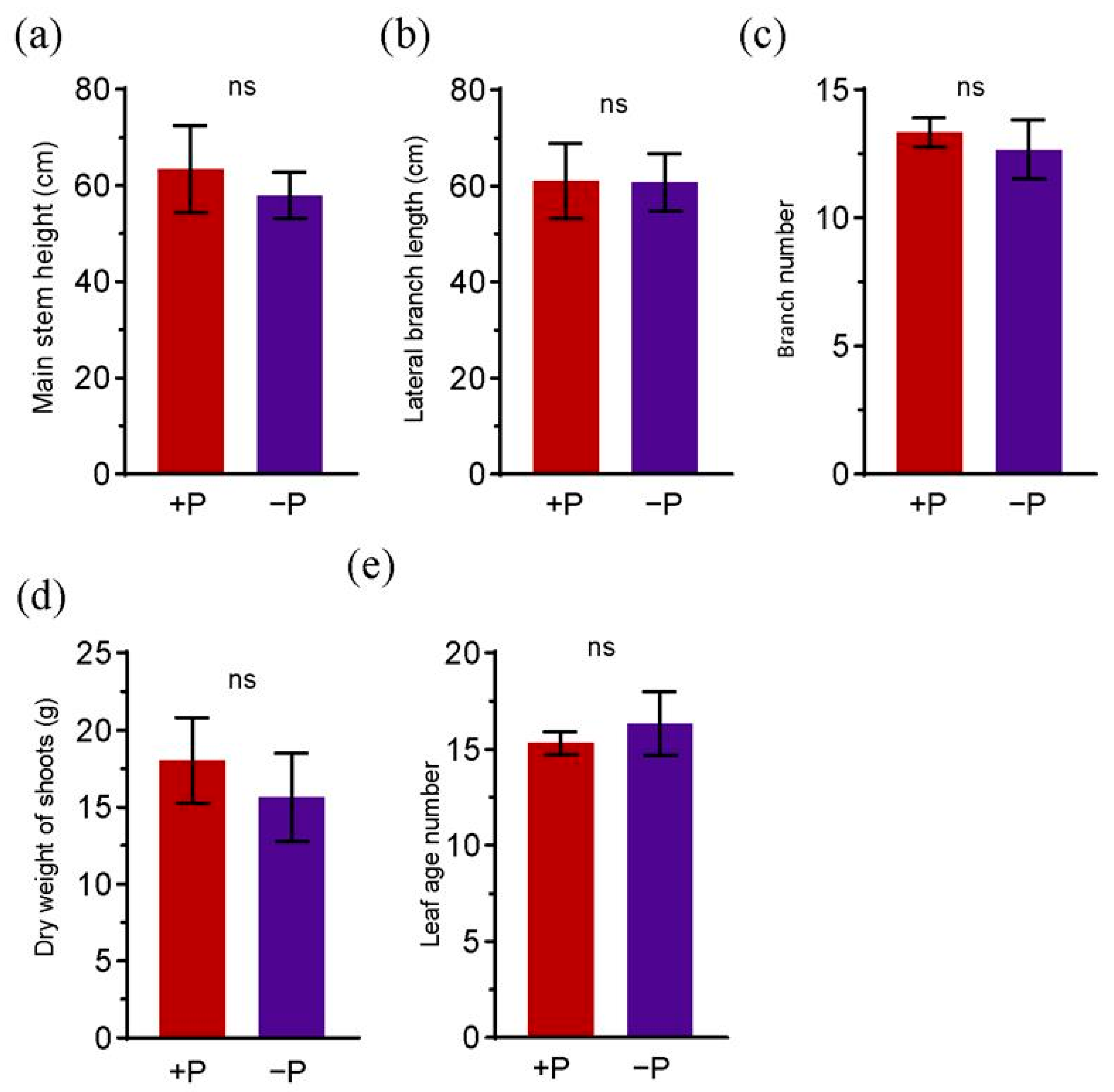 Agronomy 15 02850 g0a4 Agronomy 15 02850 g0a4