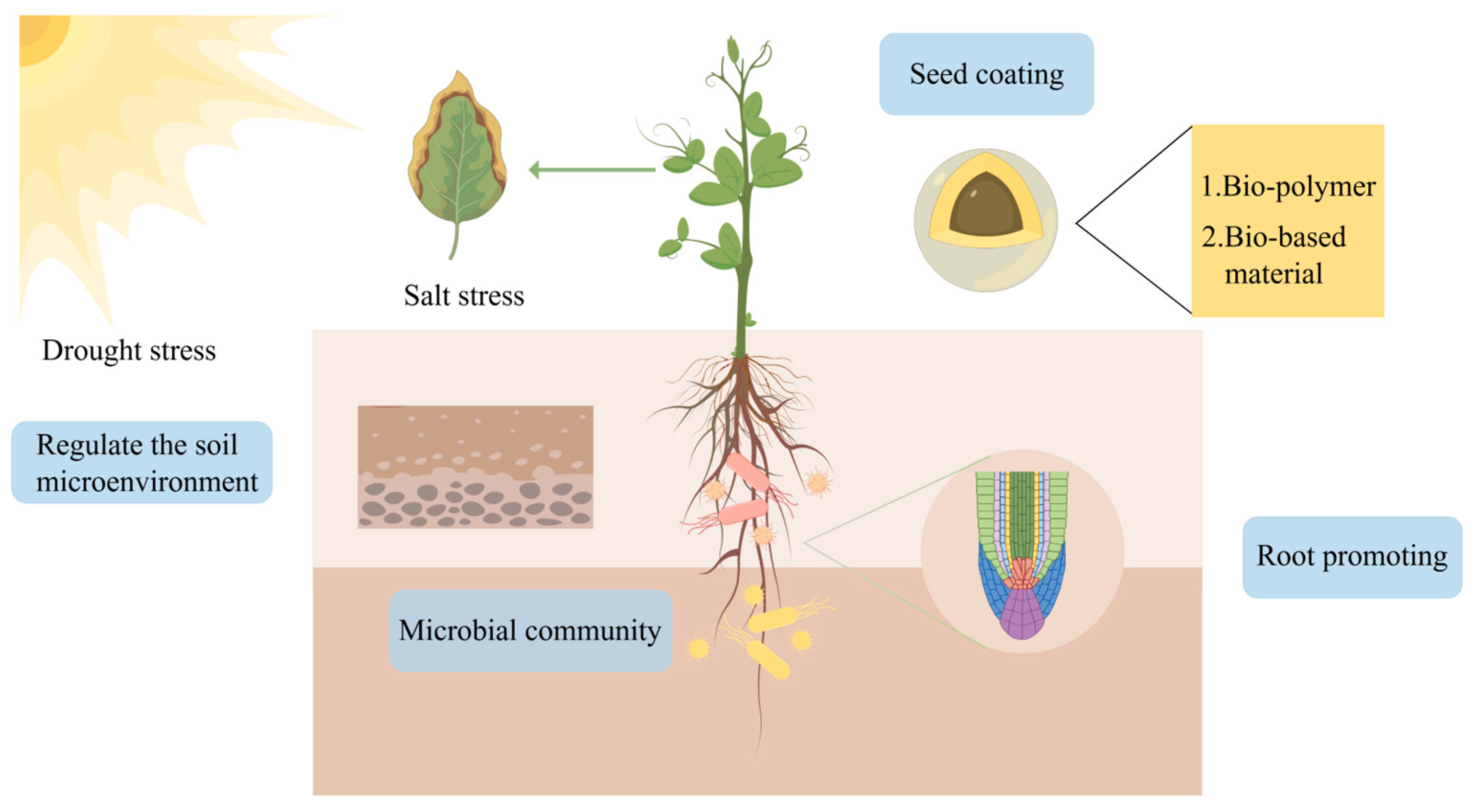 Agronomy 15 02854 g002 Agronomy 15 02854 g002
