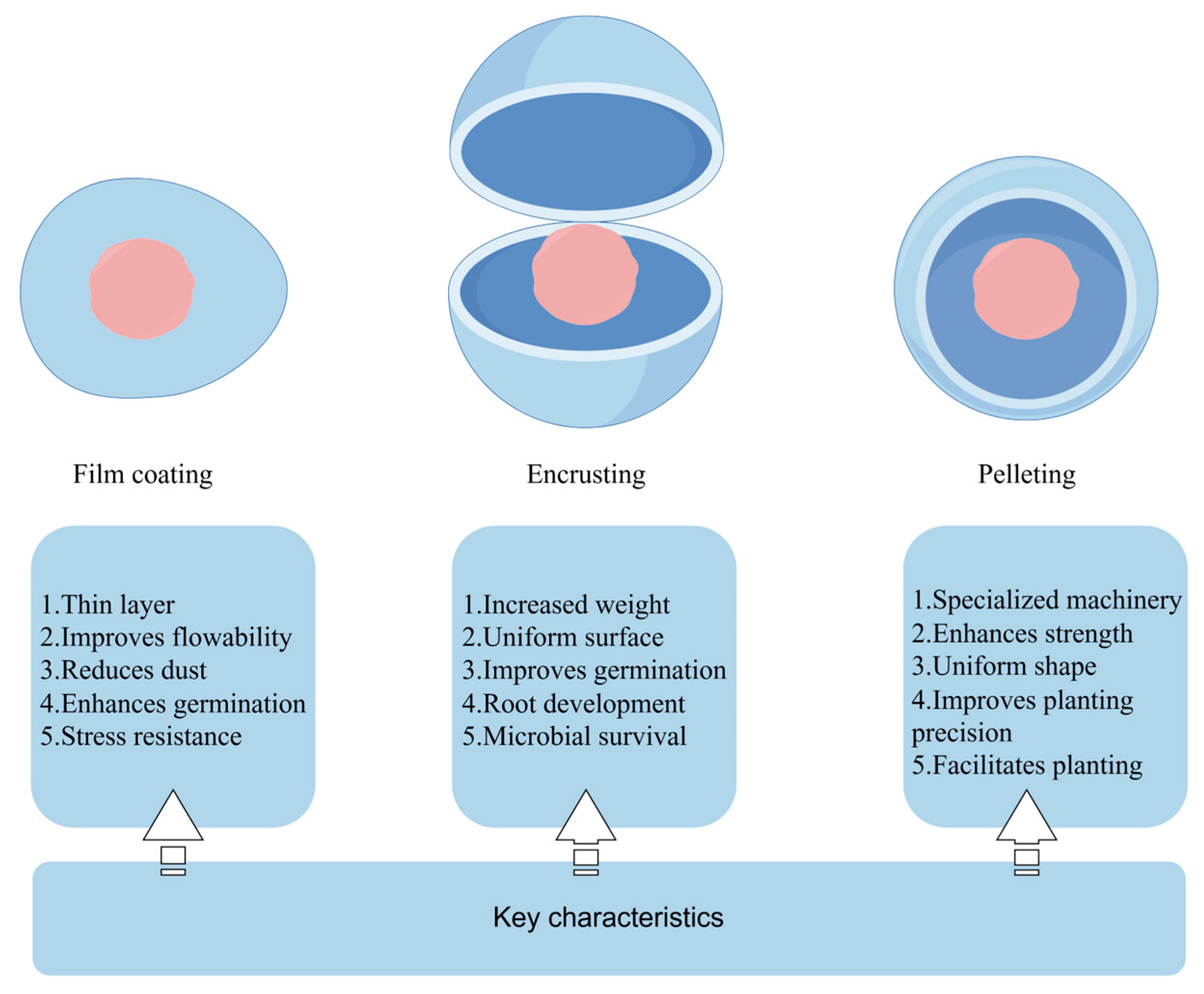 Agronomy 15 02854 g004 Agronomy 15 02854 g004
