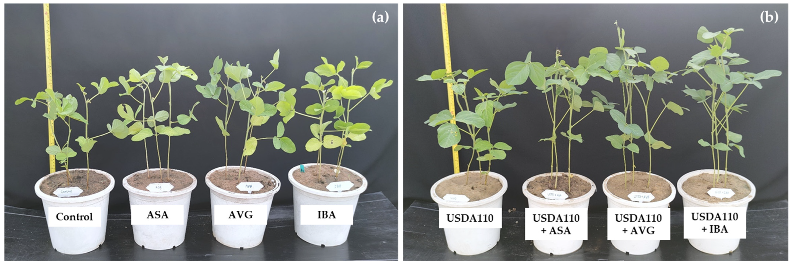 Agronomy 15 02876 g003