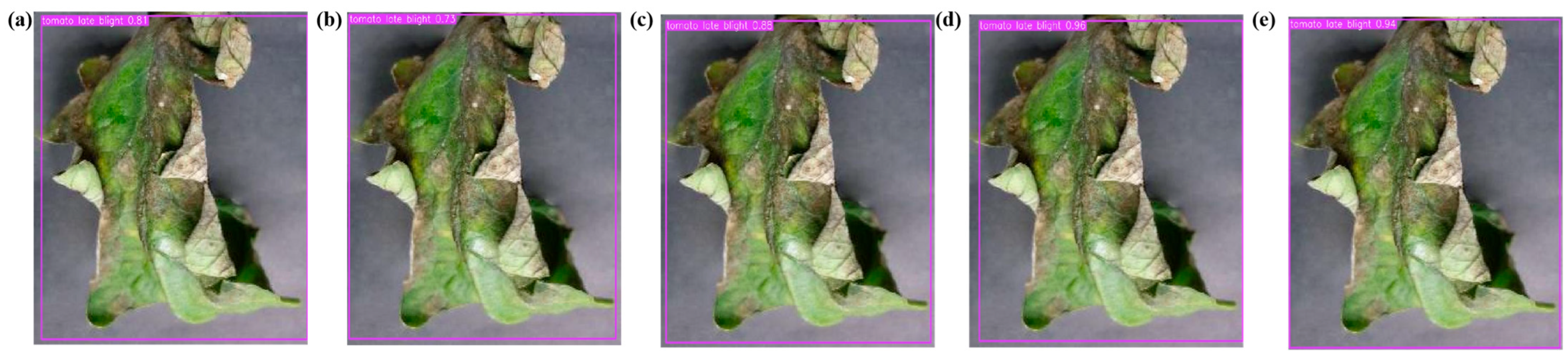 Agronomy 15 02879 g009 Agronomy 15 02879 g009