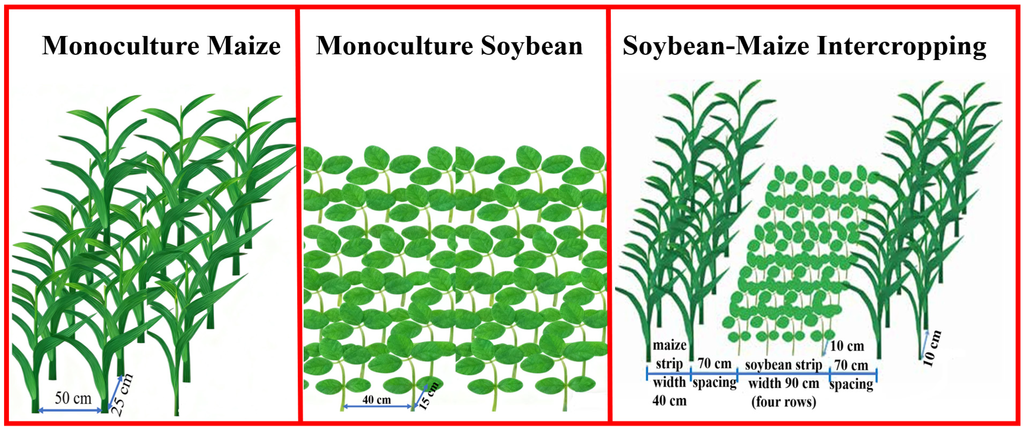 Agronomy 15 02880 g001 Agronomy 15 02880 g001