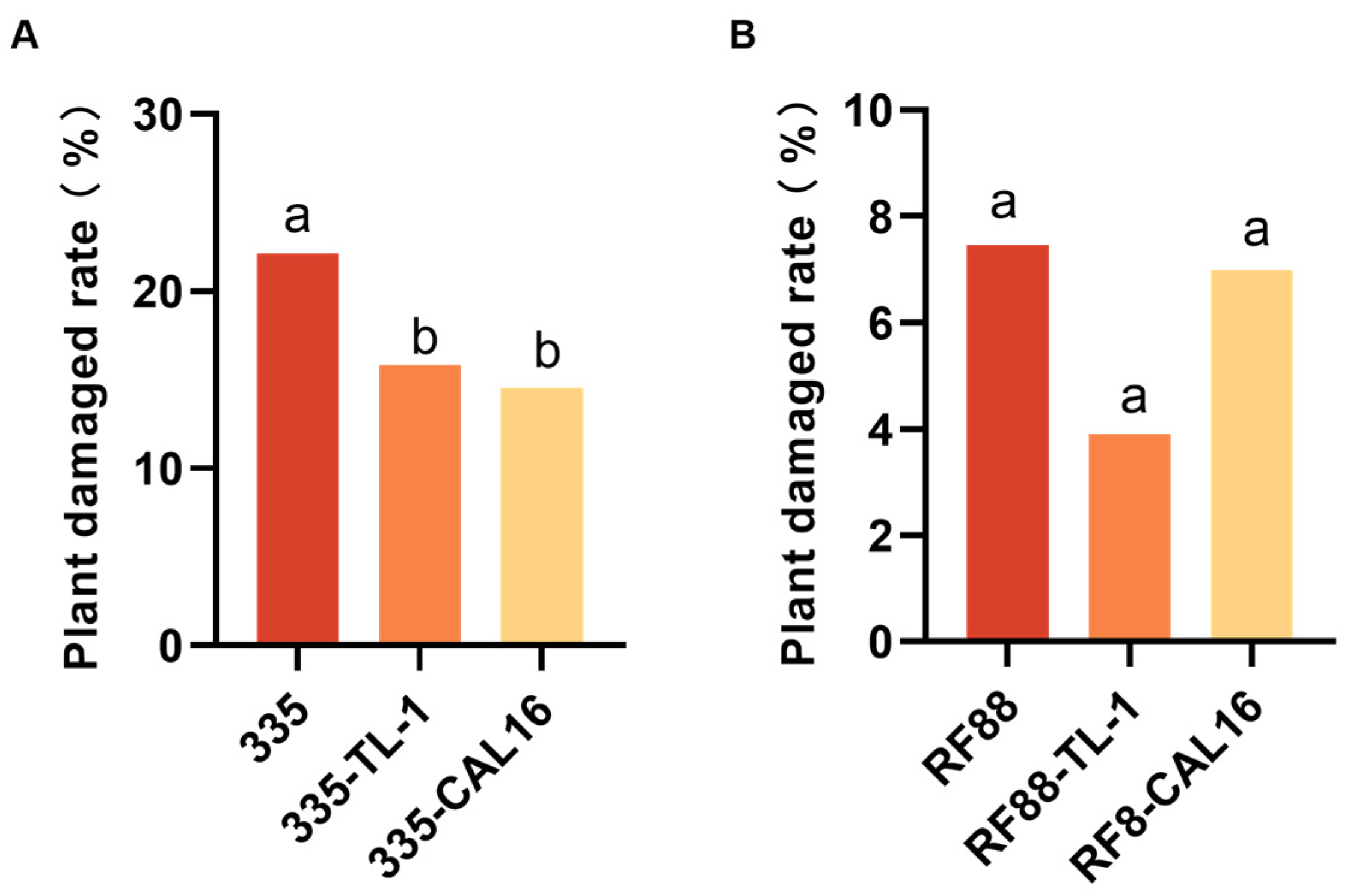 Agronomy 15 02880 g003 Agronomy 15 02880 g003