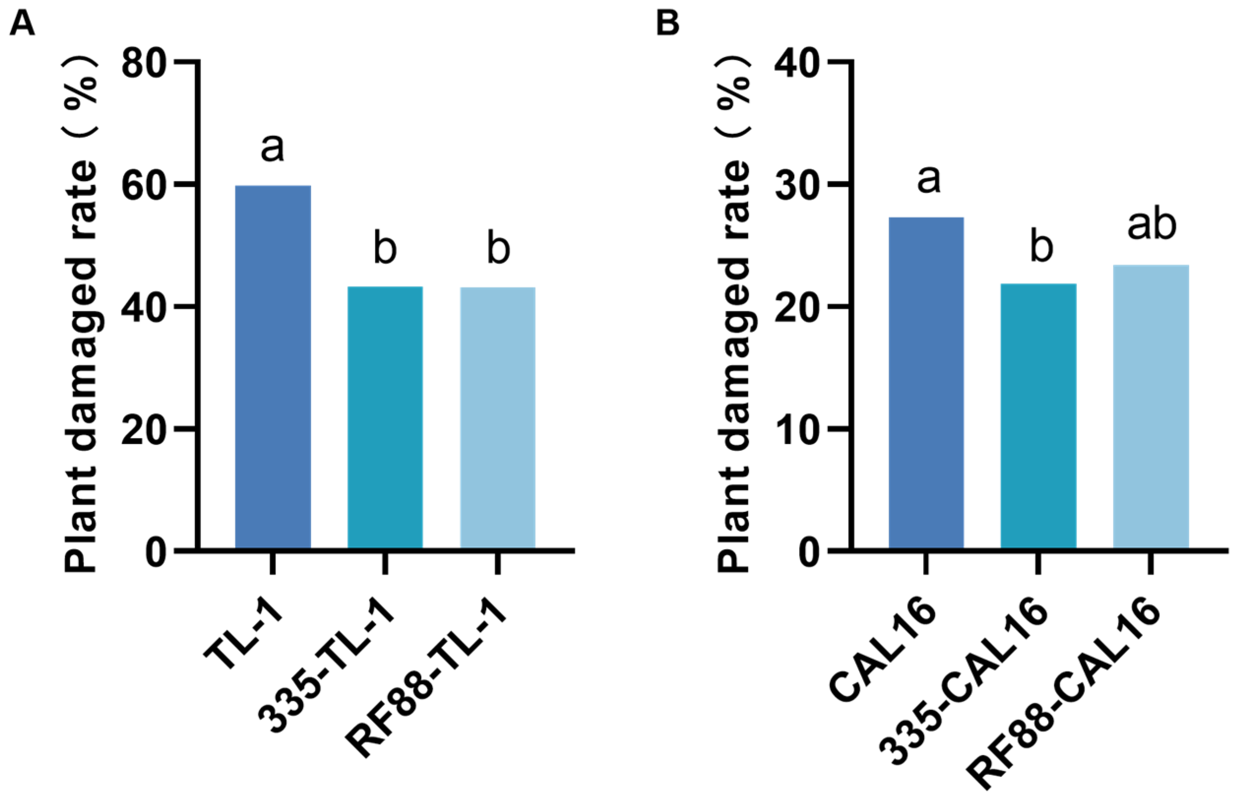 Agronomy 15 02880 g005 Agronomy 15 02880 g005