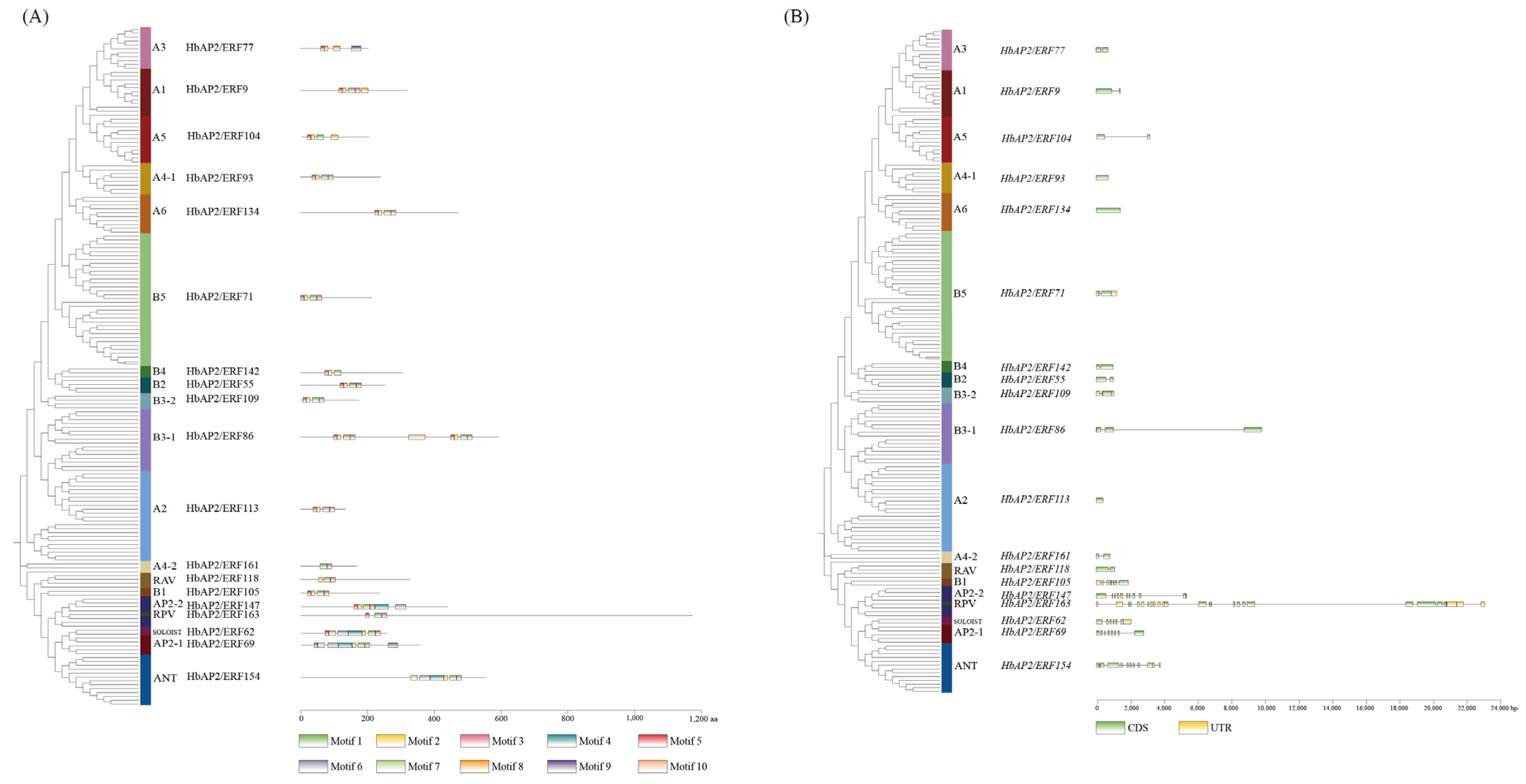 Agronomy 15 02881 g003 Agronomy 15 02881 g003