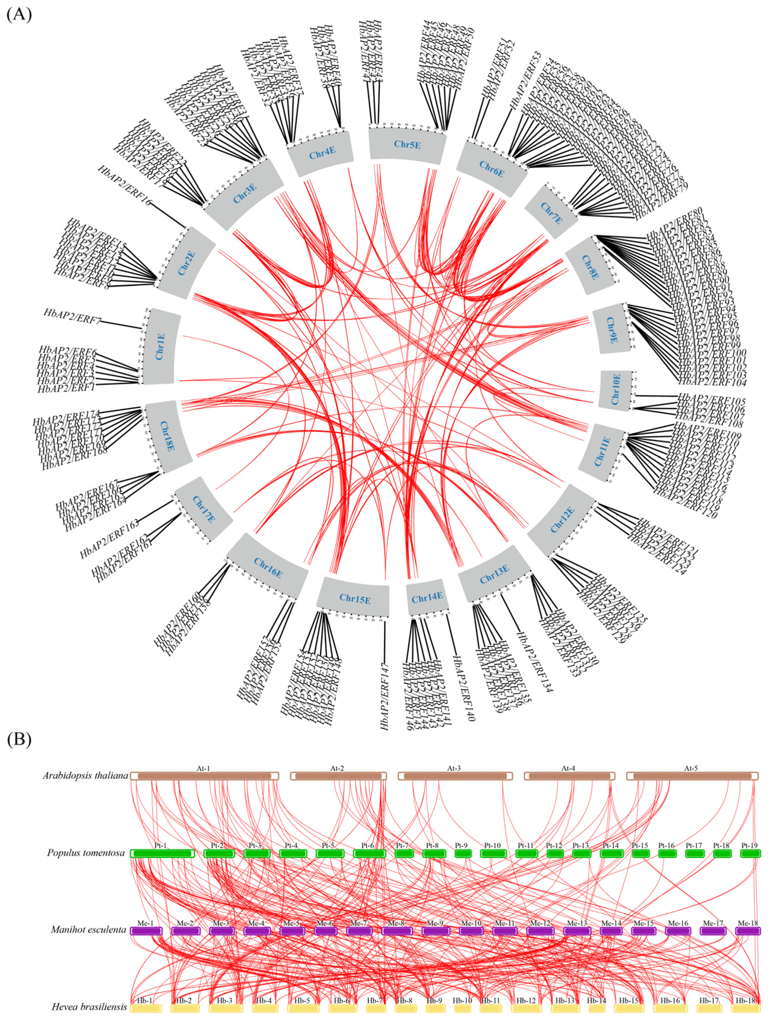 Agronomy 15 02881 g004 Agronomy 15 02881 g004