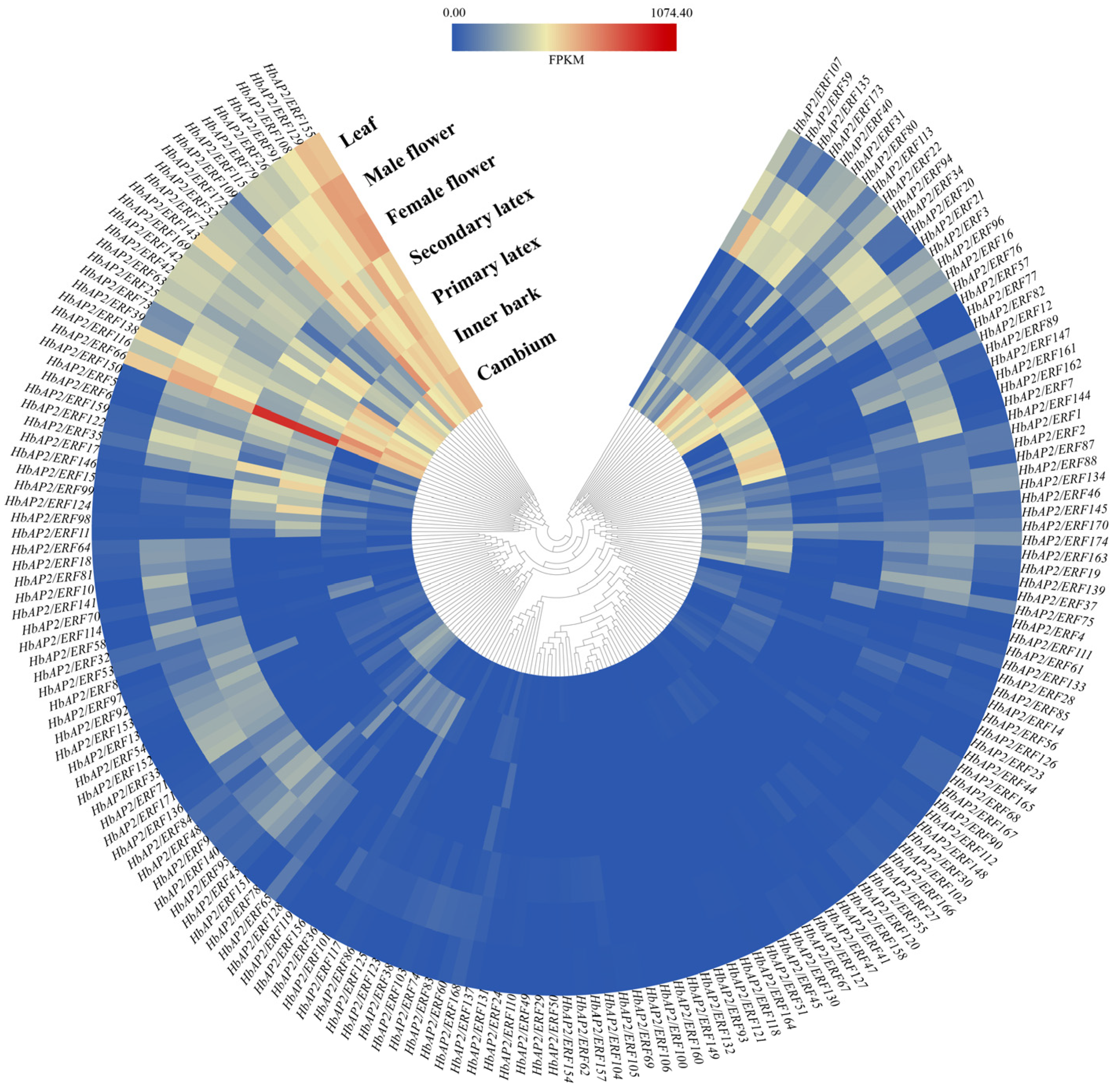 Agronomy 15 02881 g006 Agronomy 15 02881 g006