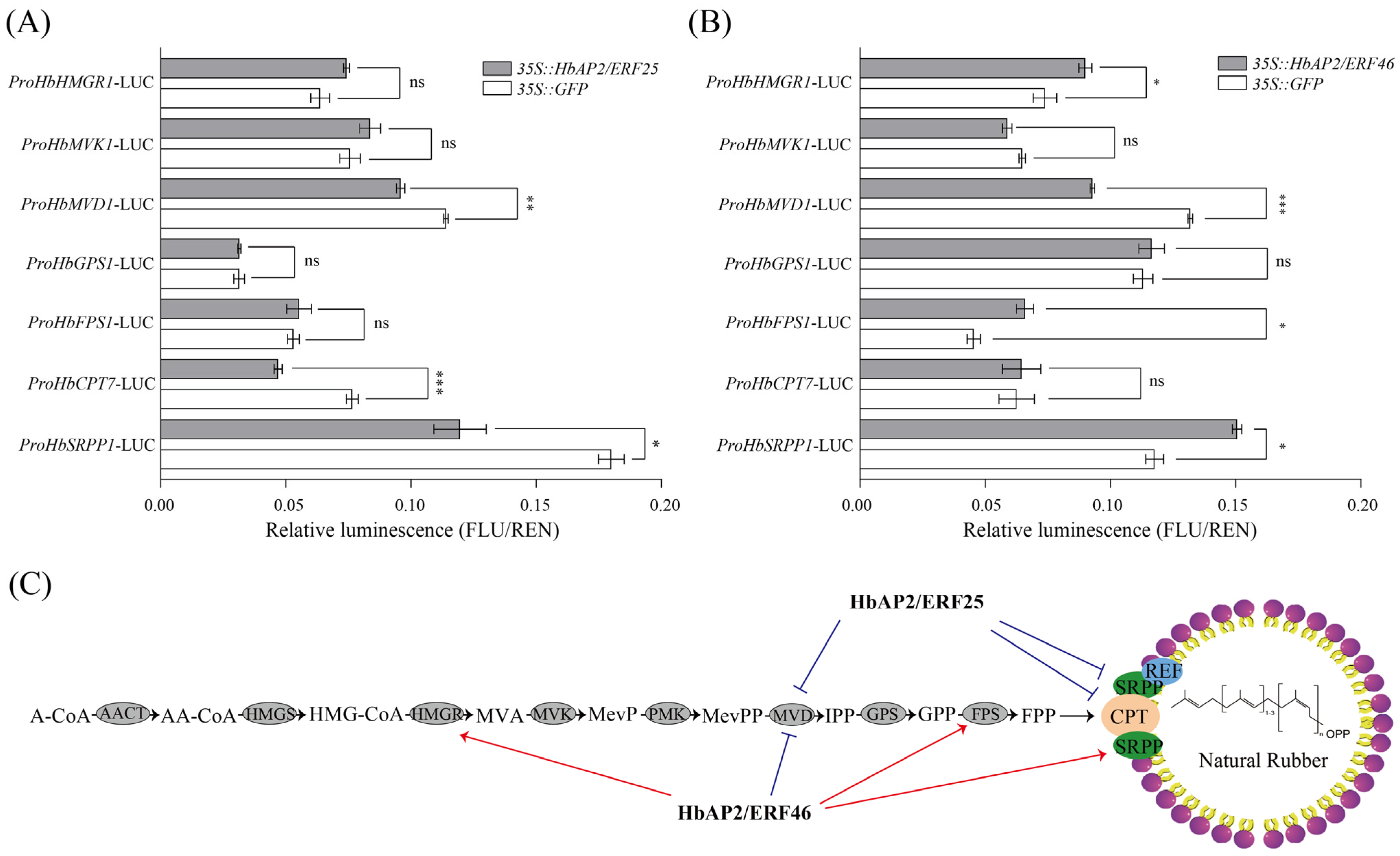 Agronomy 15 02881 g008 Agronomy 15 02881 g008
