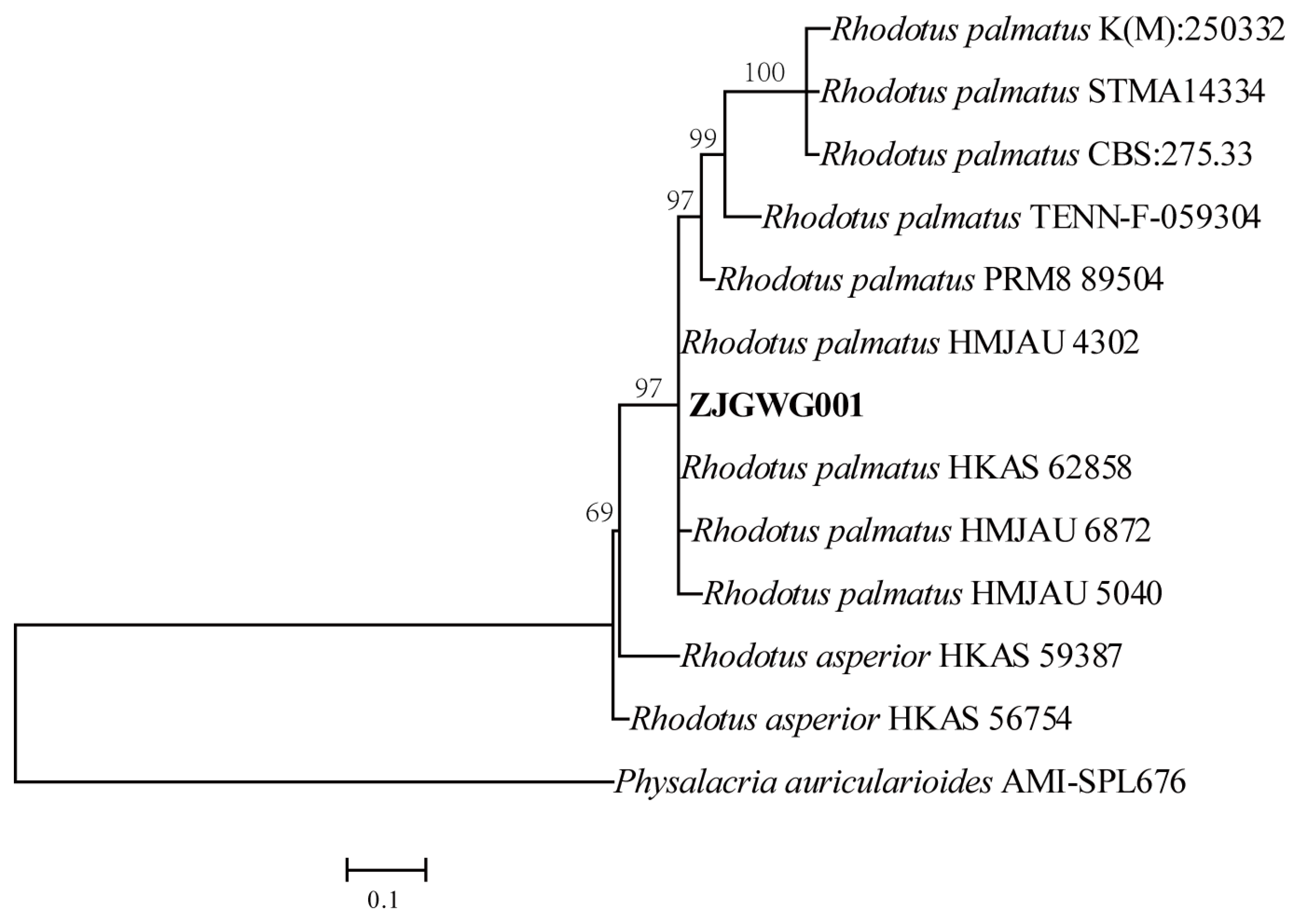 Agronomy 15 02882 g002 Agronomy 15 02882 g002