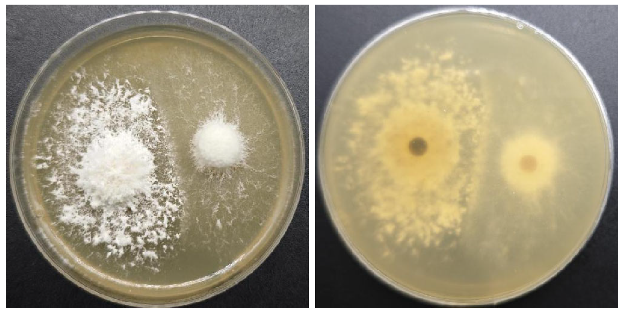 Agronomy 15 02882 g004 Agronomy 15 02882 g004