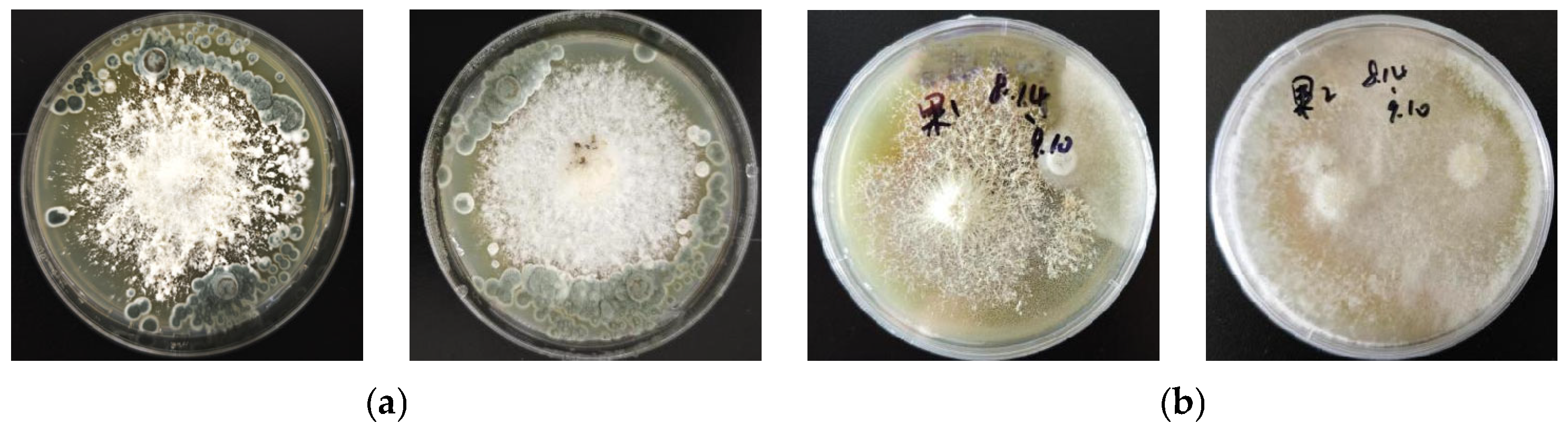 Agronomy 15 02882 g006 Agronomy 15 02882 g006