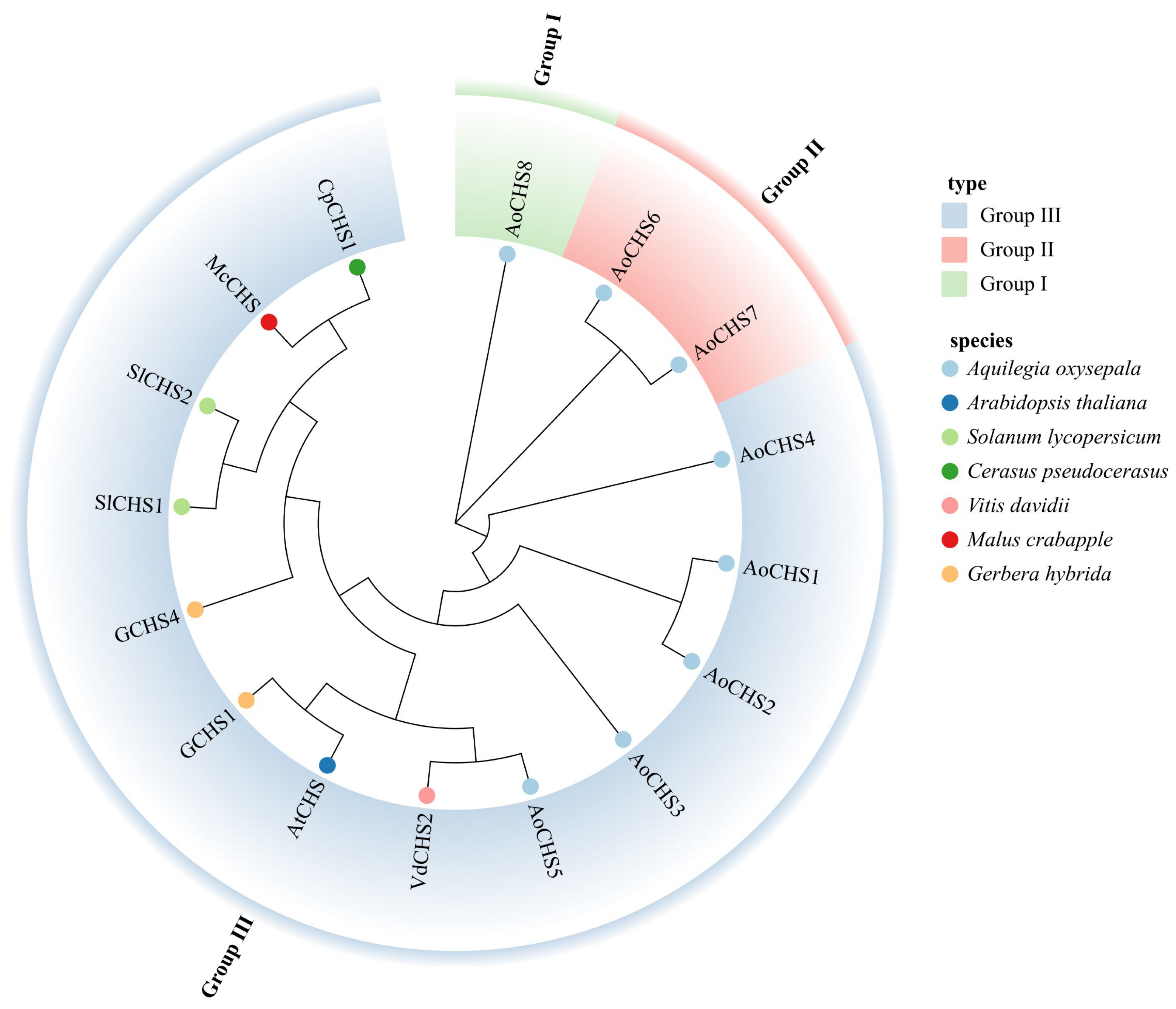 Agronomy 15 02883 g005 Agronomy 15 02883 g005