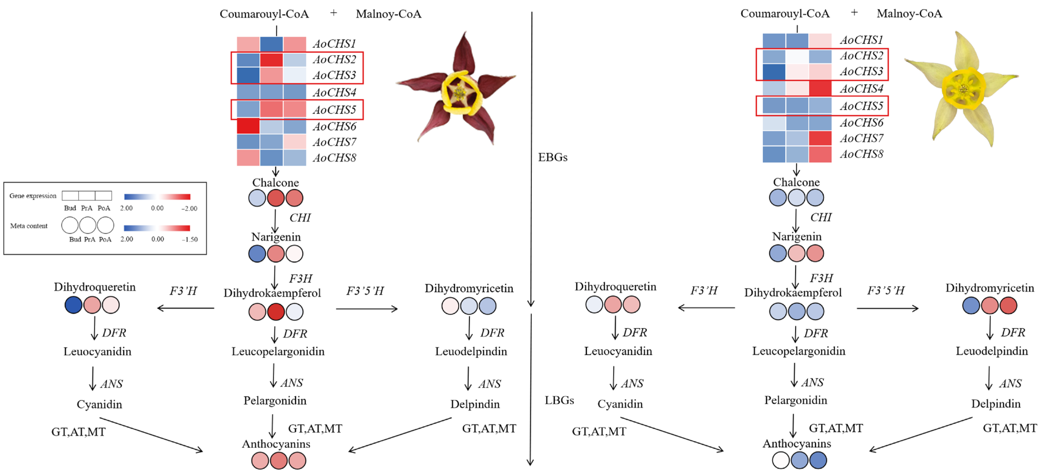 Agronomy 15 02883 g007 Agronomy 15 02883 g007