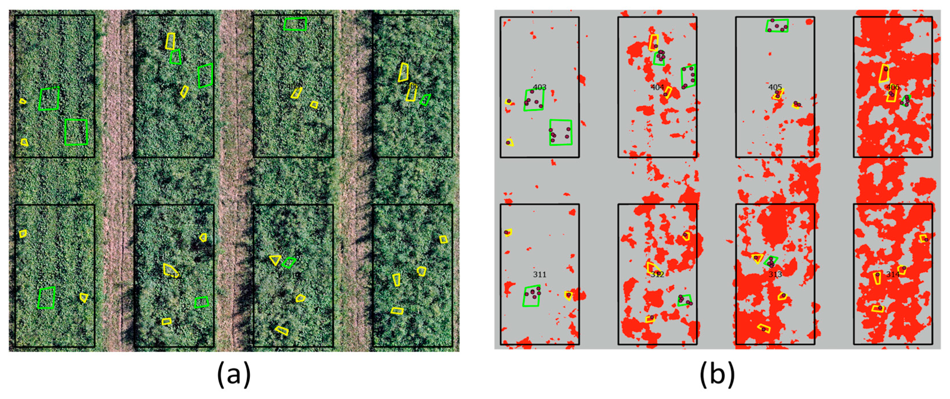 Agronomy 15 02885 g002 Agronomy 15 02885 g002