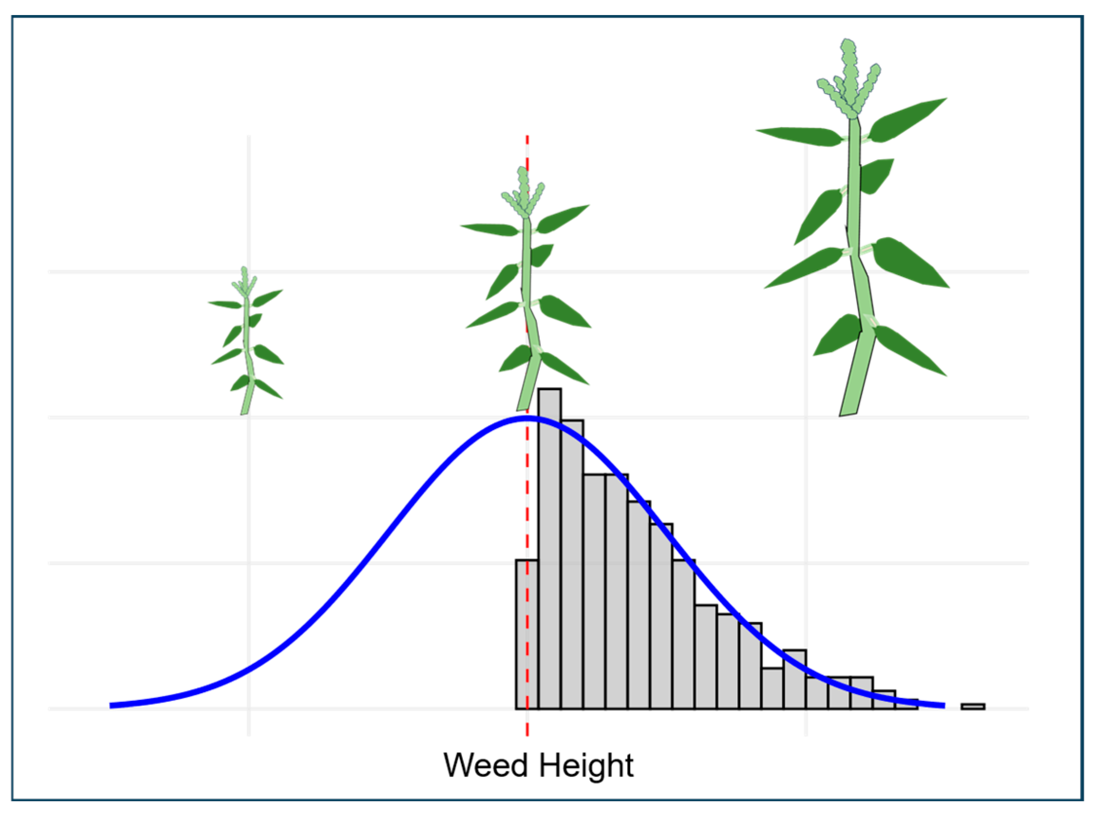 Agronomy 15 02885 g004 Agronomy 15 02885 g004