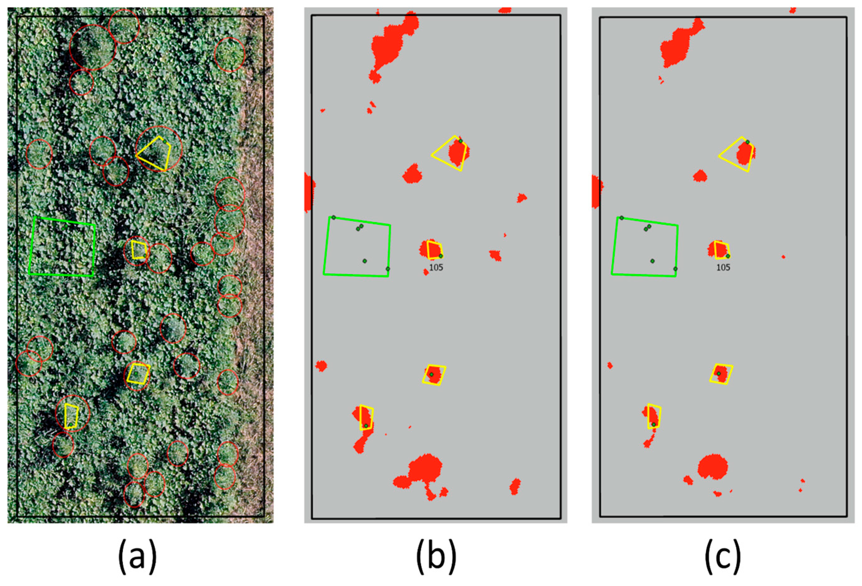 Agronomy 15 02885 g005 Agronomy 15 02885 g005