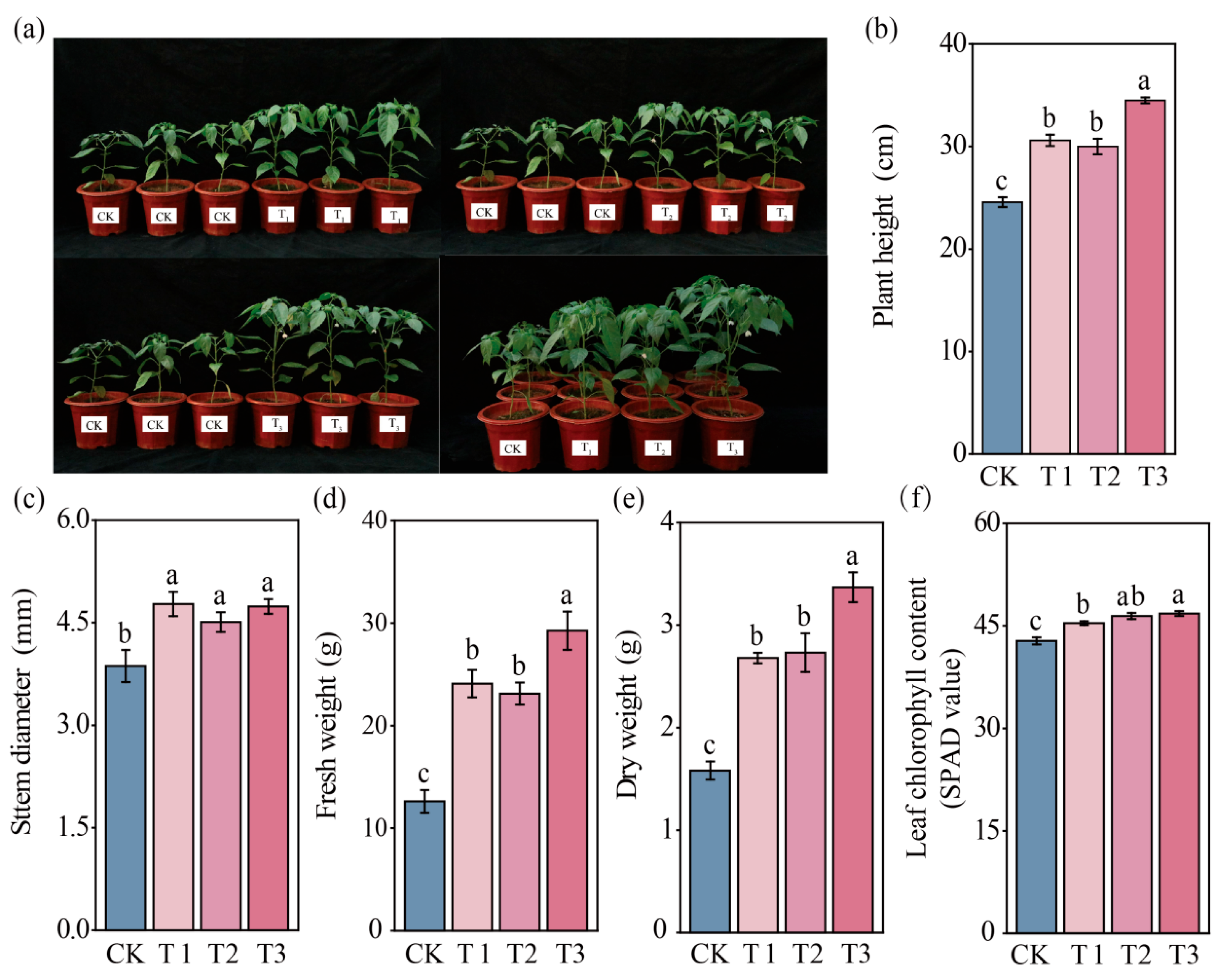 Agronomy 15 02888 g001 Agronomy 15 02888 g001