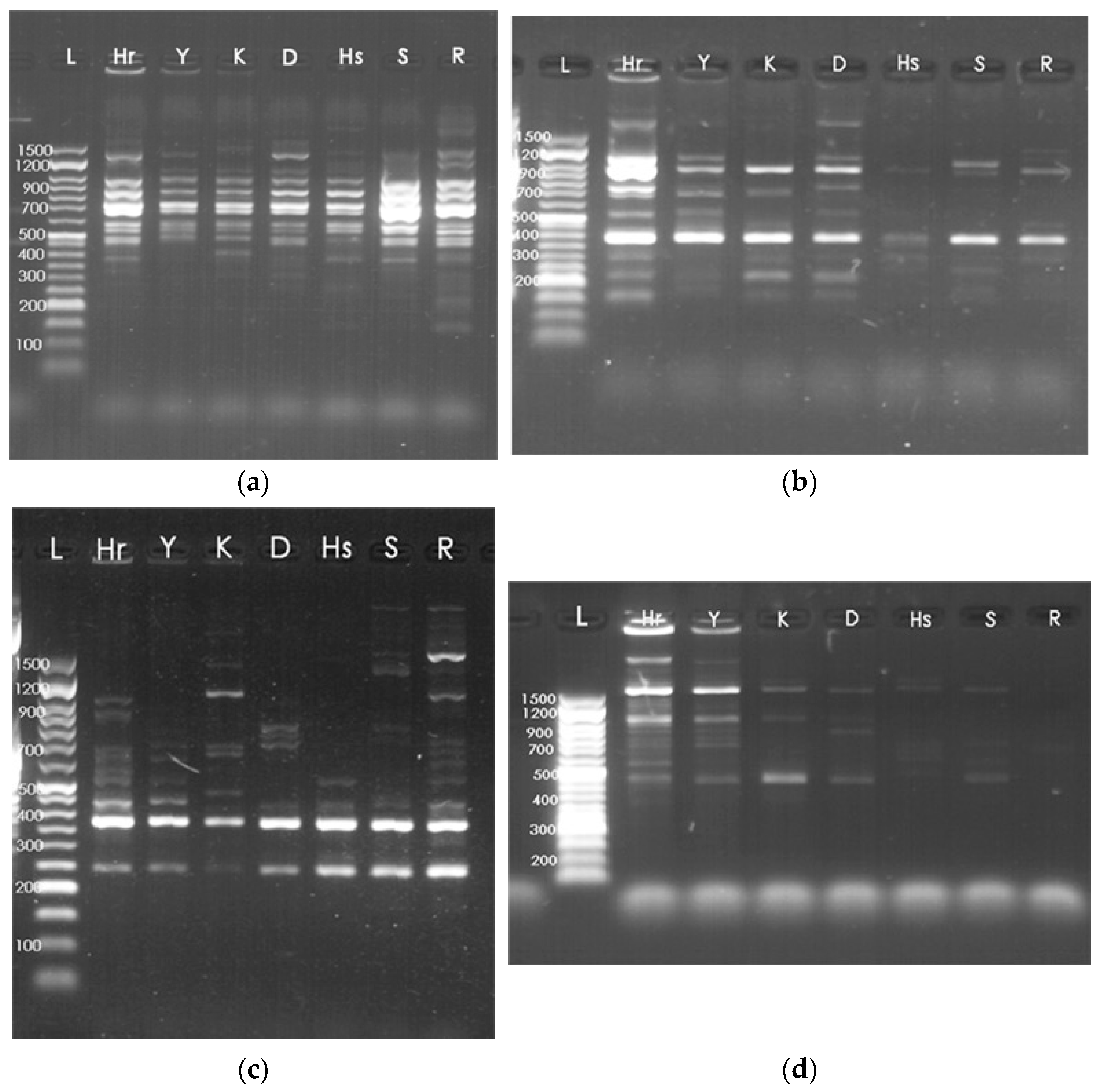 Agronomy 15 02889 g001