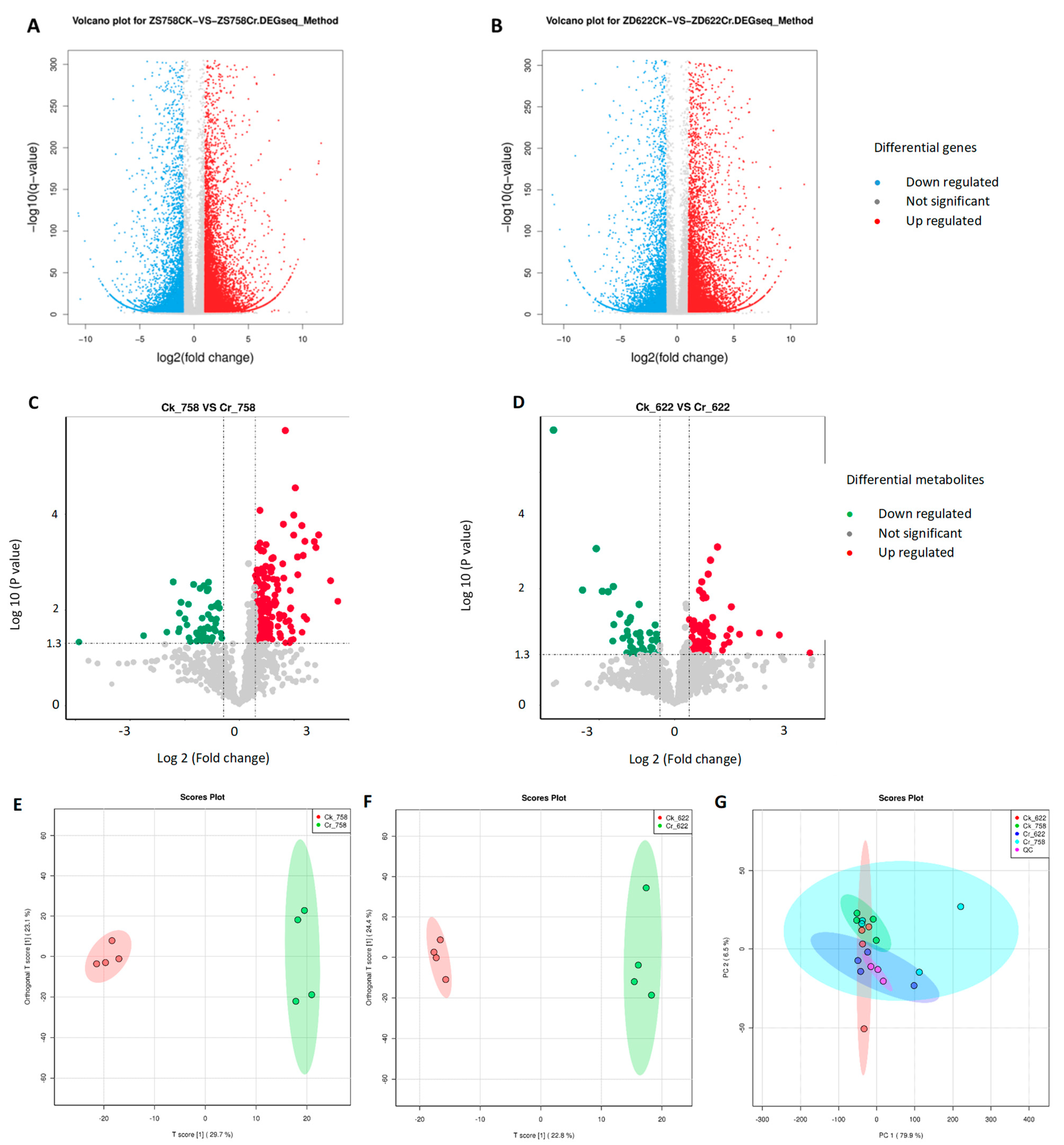 Agronomy 15 02892 g001a Agronomy 15 02892 g001a
