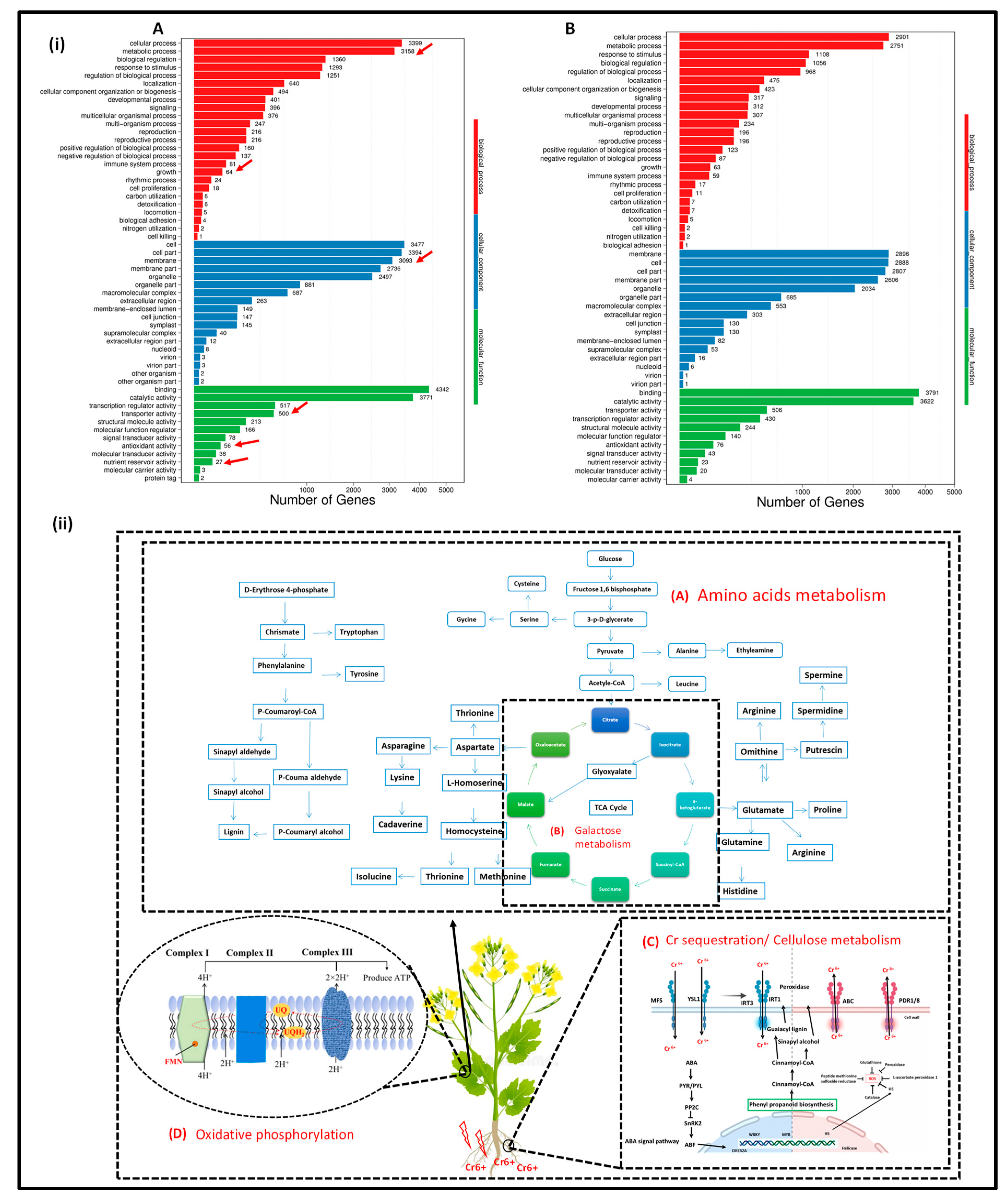 Agronomy 15 02892 g005 Agronomy 15 02892 g005