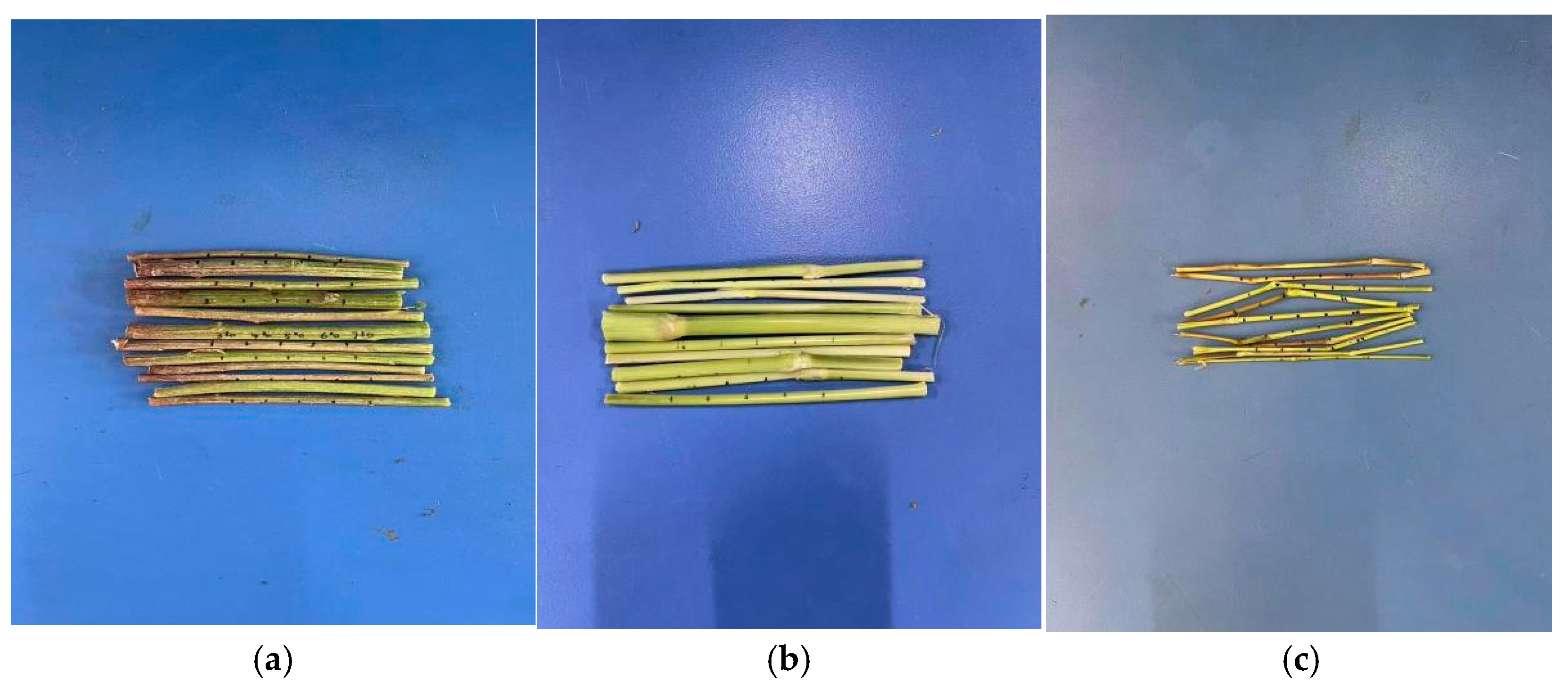 Agronomy 15 02893 g003