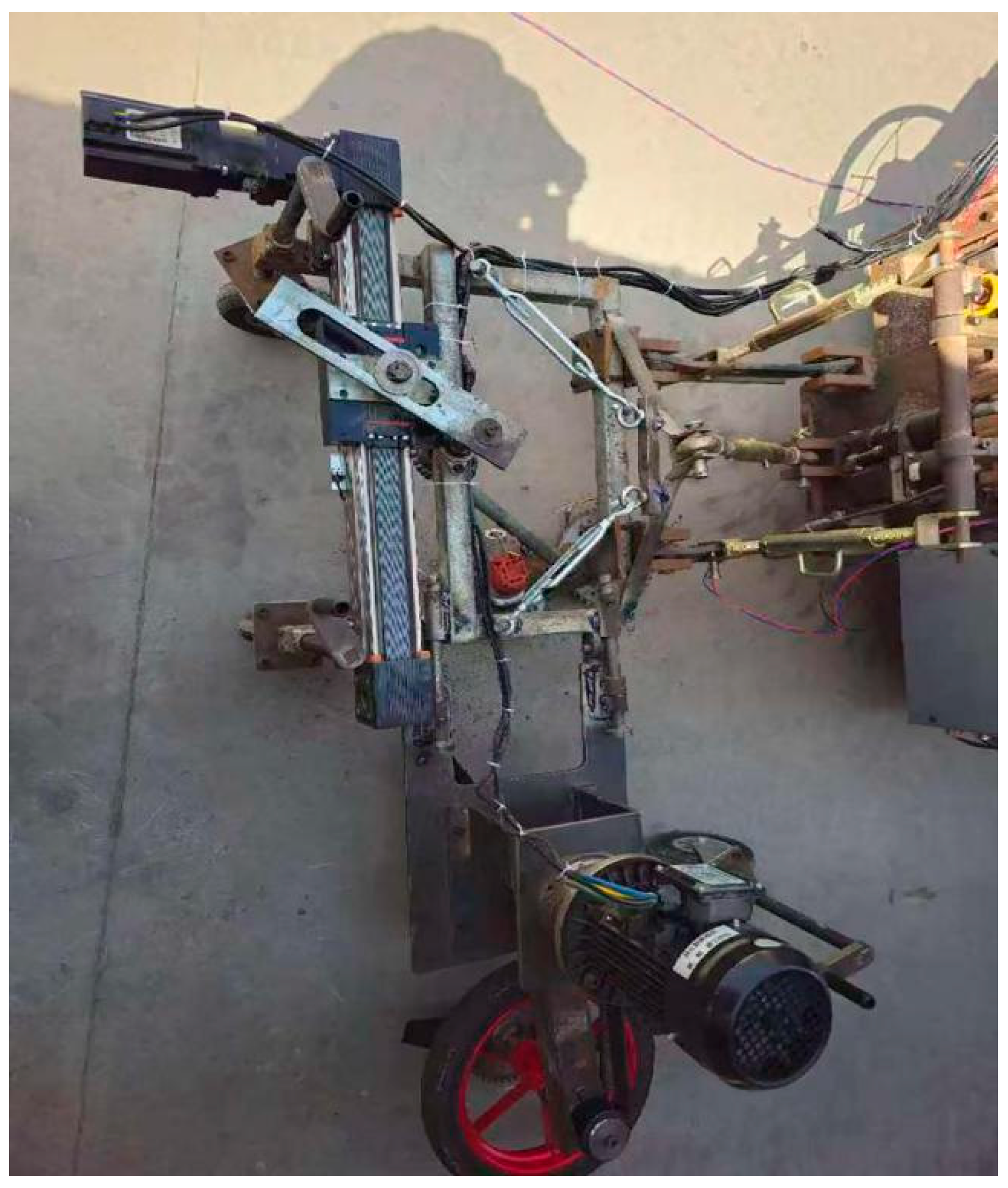 Agronomy 15 02893 g015