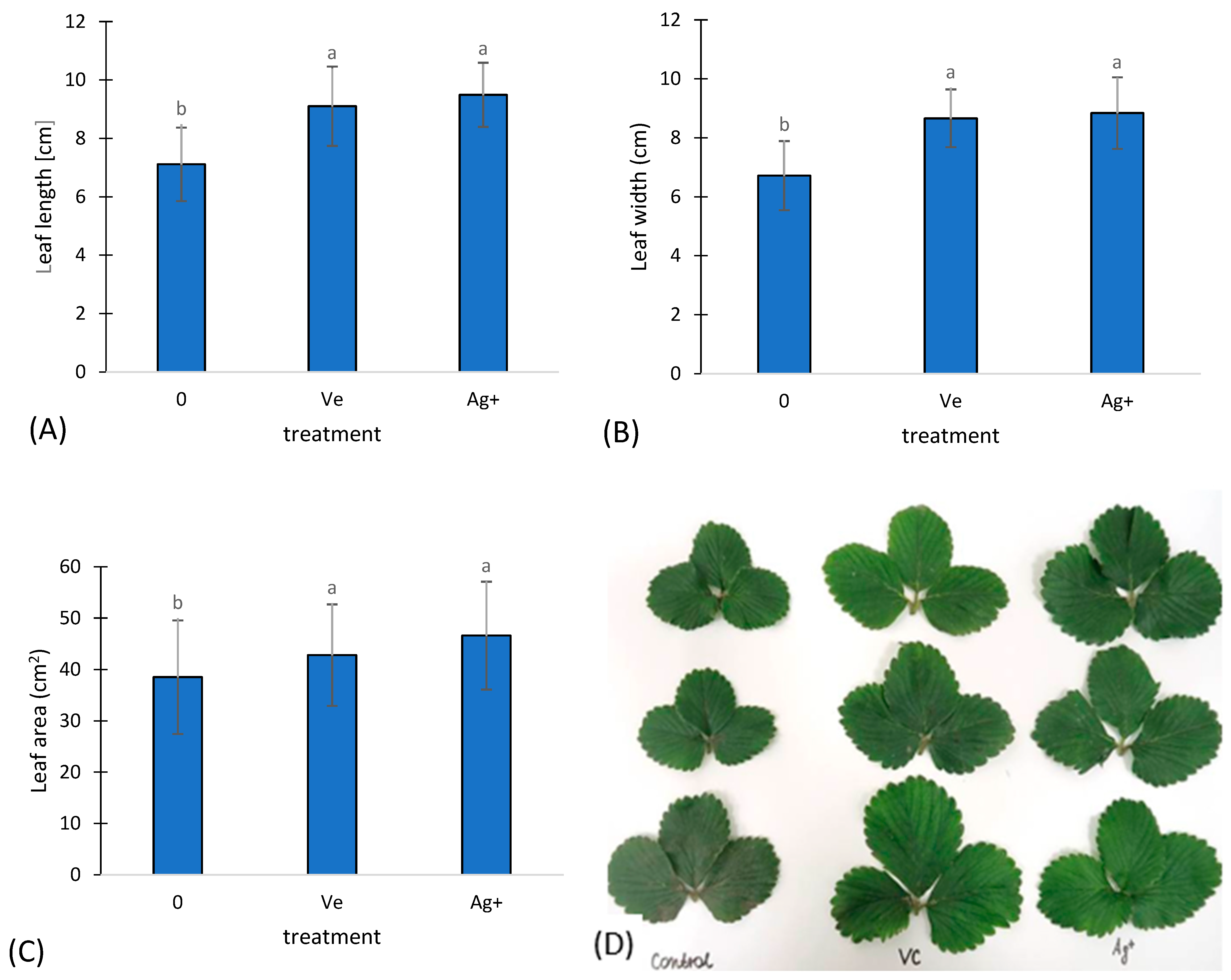 Agronomy 15 02900 g012 Agronomy 15 02900 g012