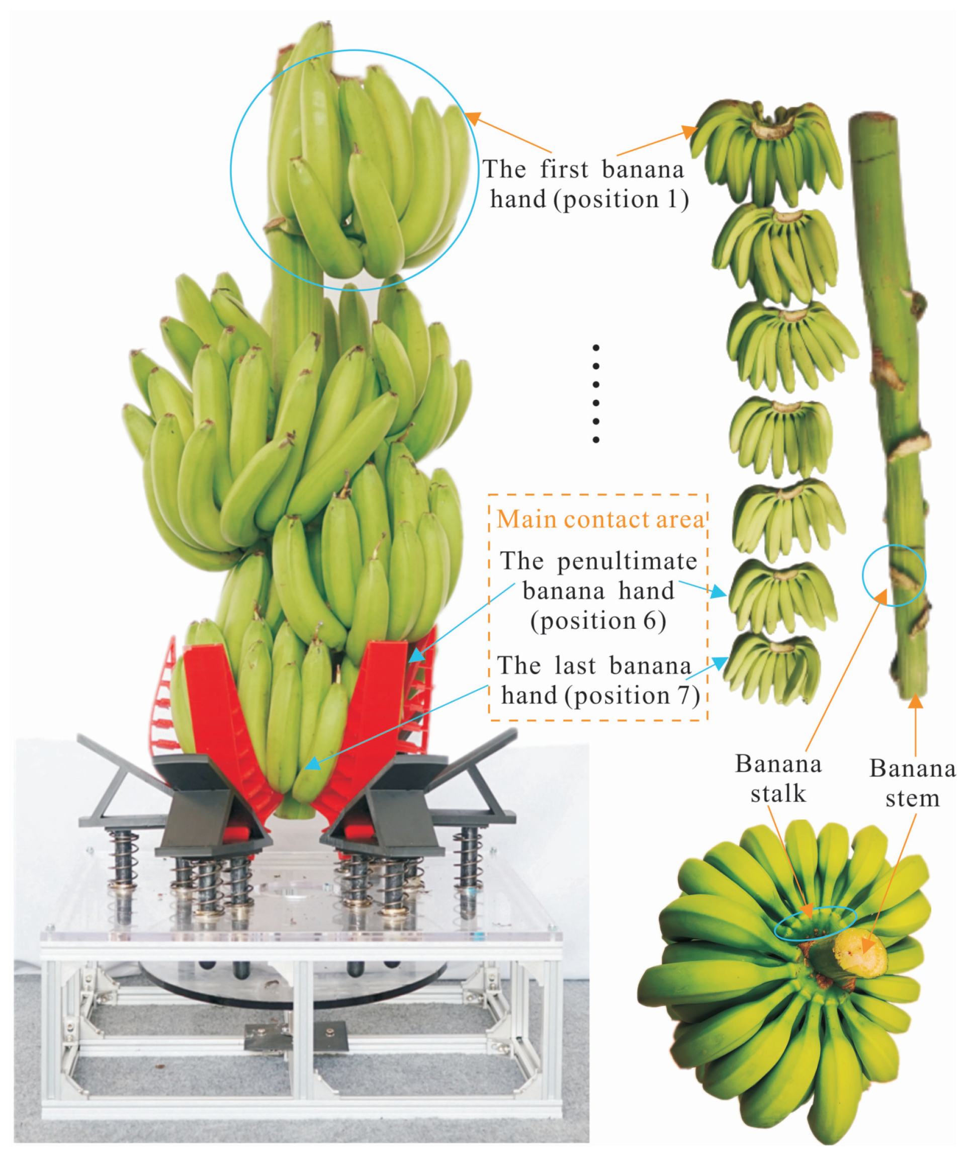 Agronomy 15 02907 g001