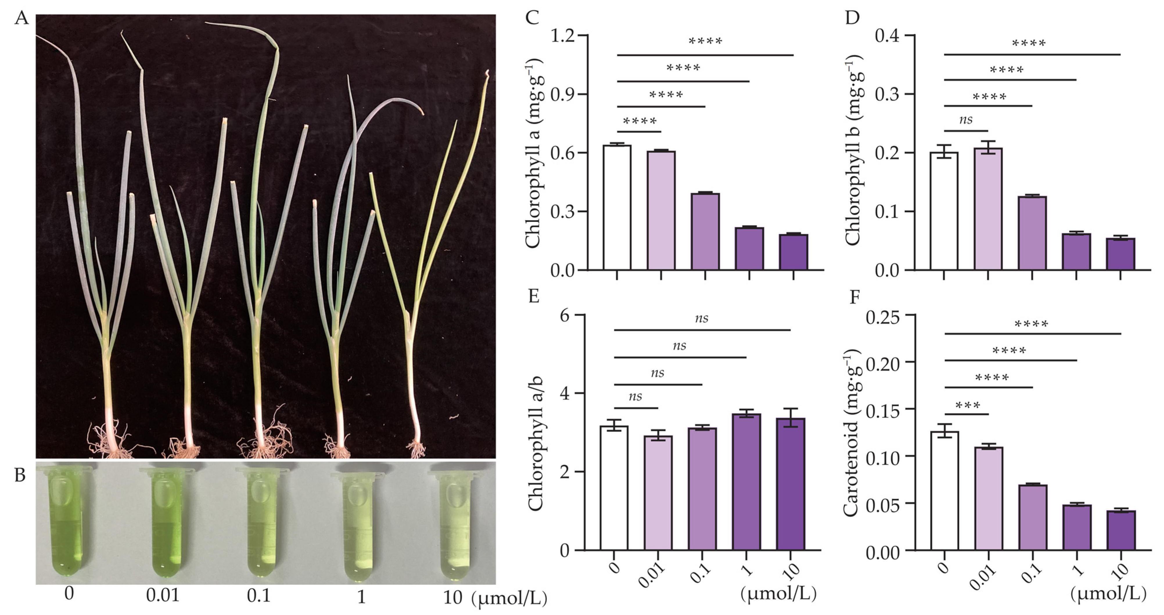 Agronomy 16 00007 g001