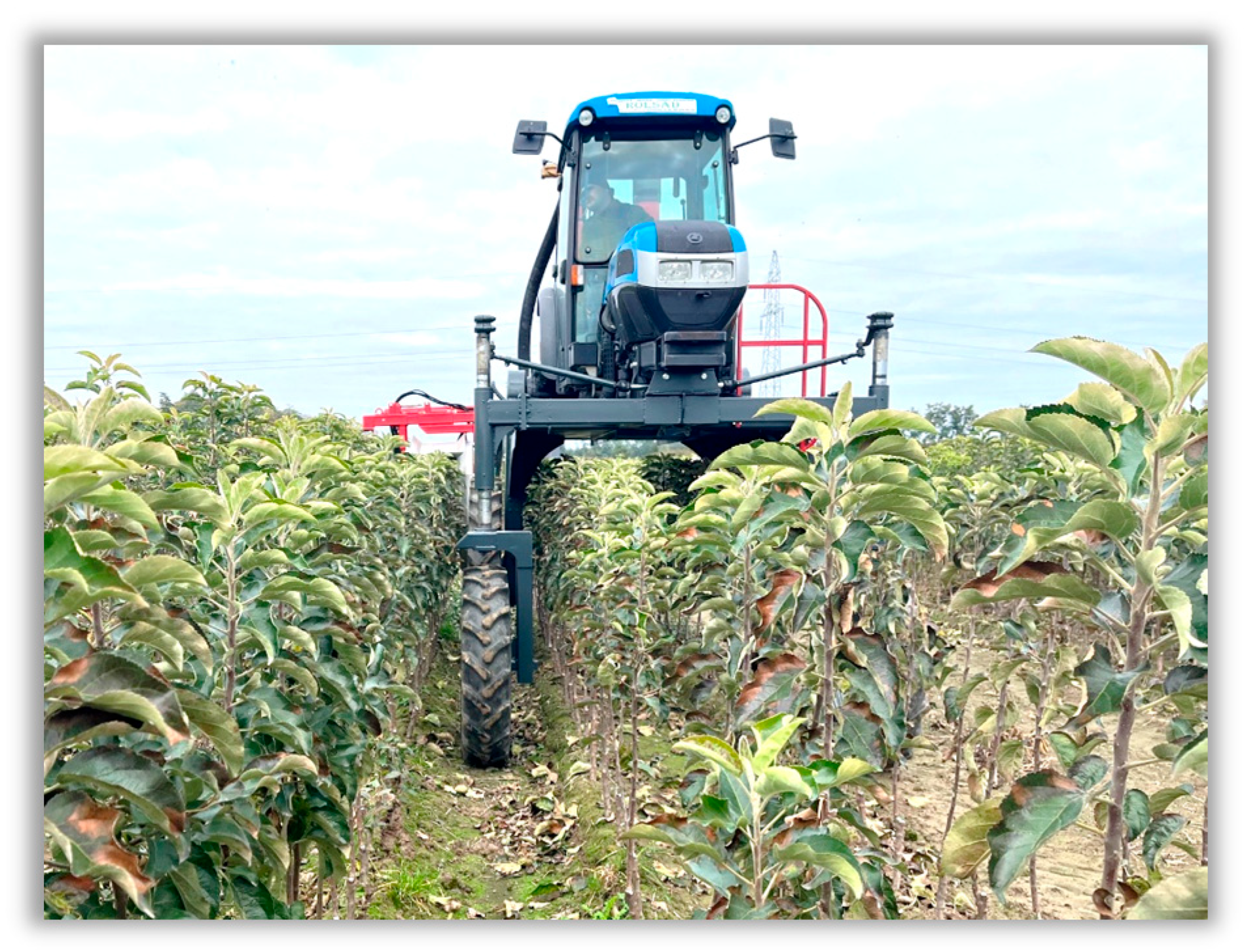 Agronomy 16 00008 g003 Agronomy 16 00008 g003