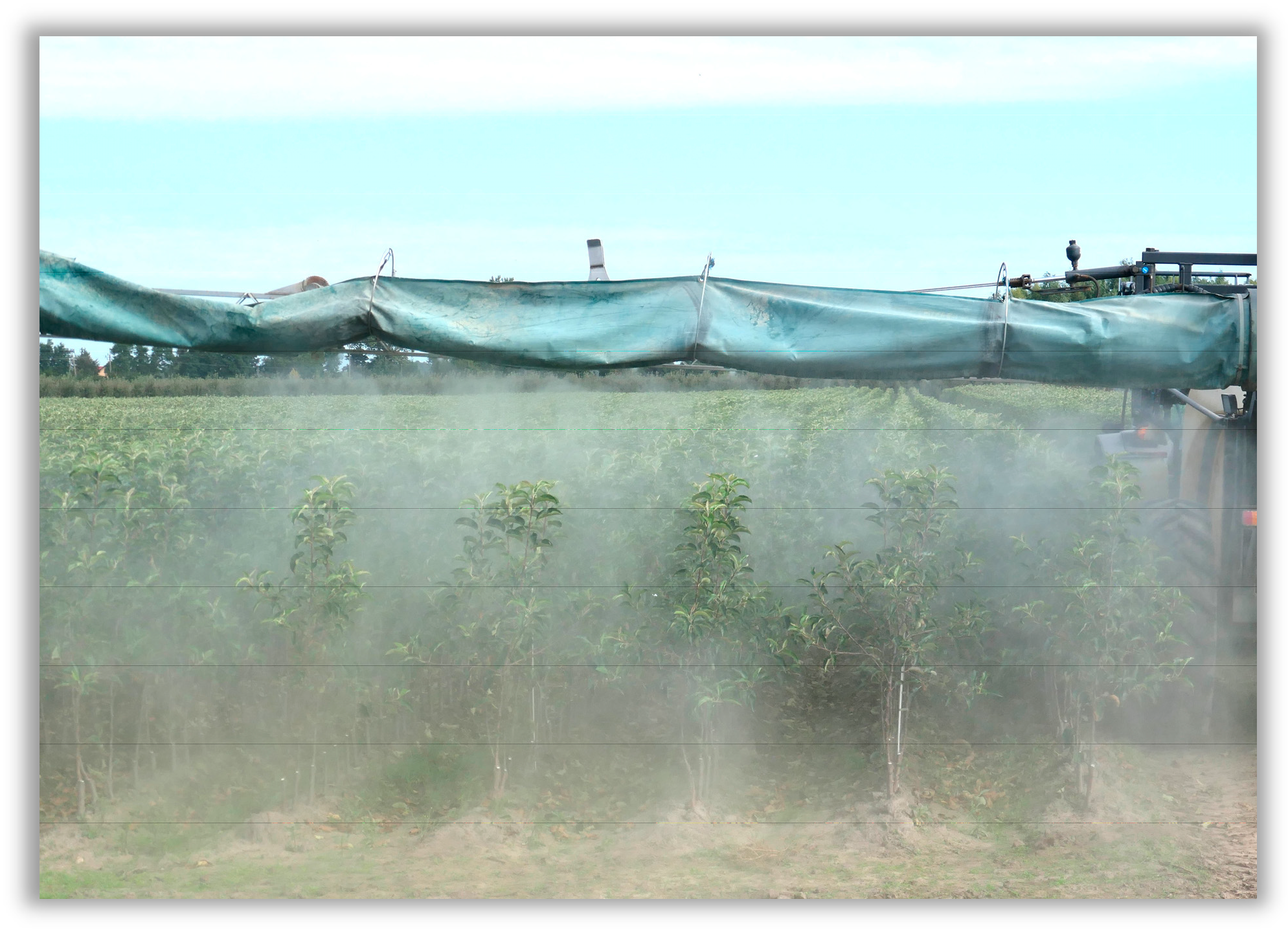 Agronomy 16 00008 g009 Agronomy 16 00008 g009