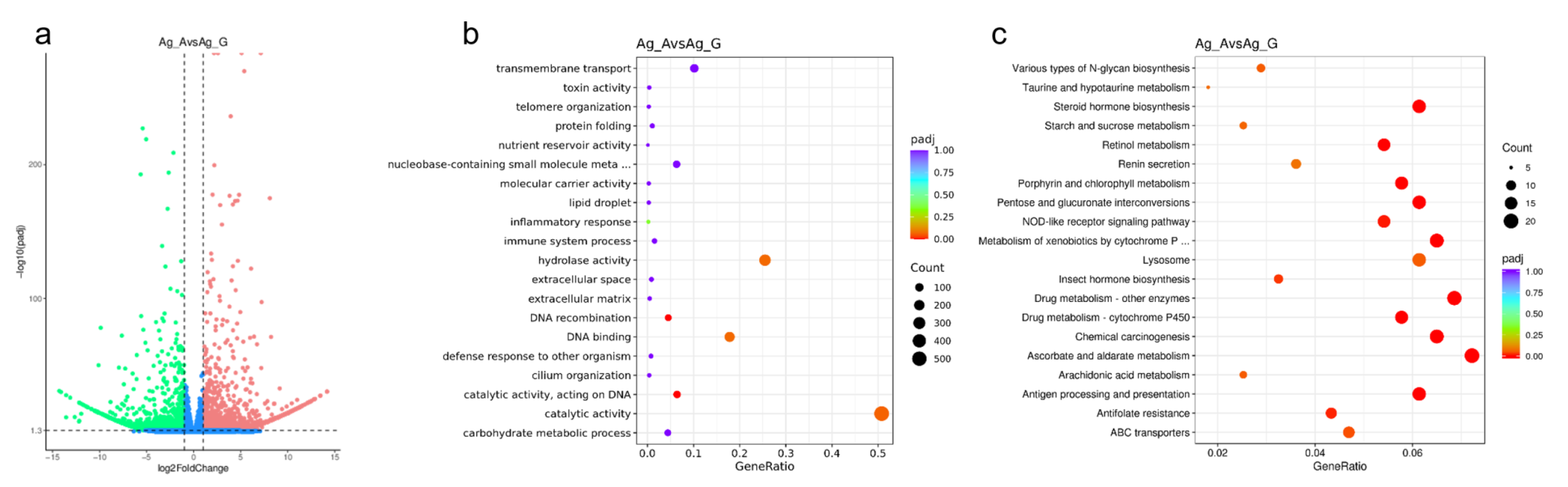 Agronomy 16 00011 g001