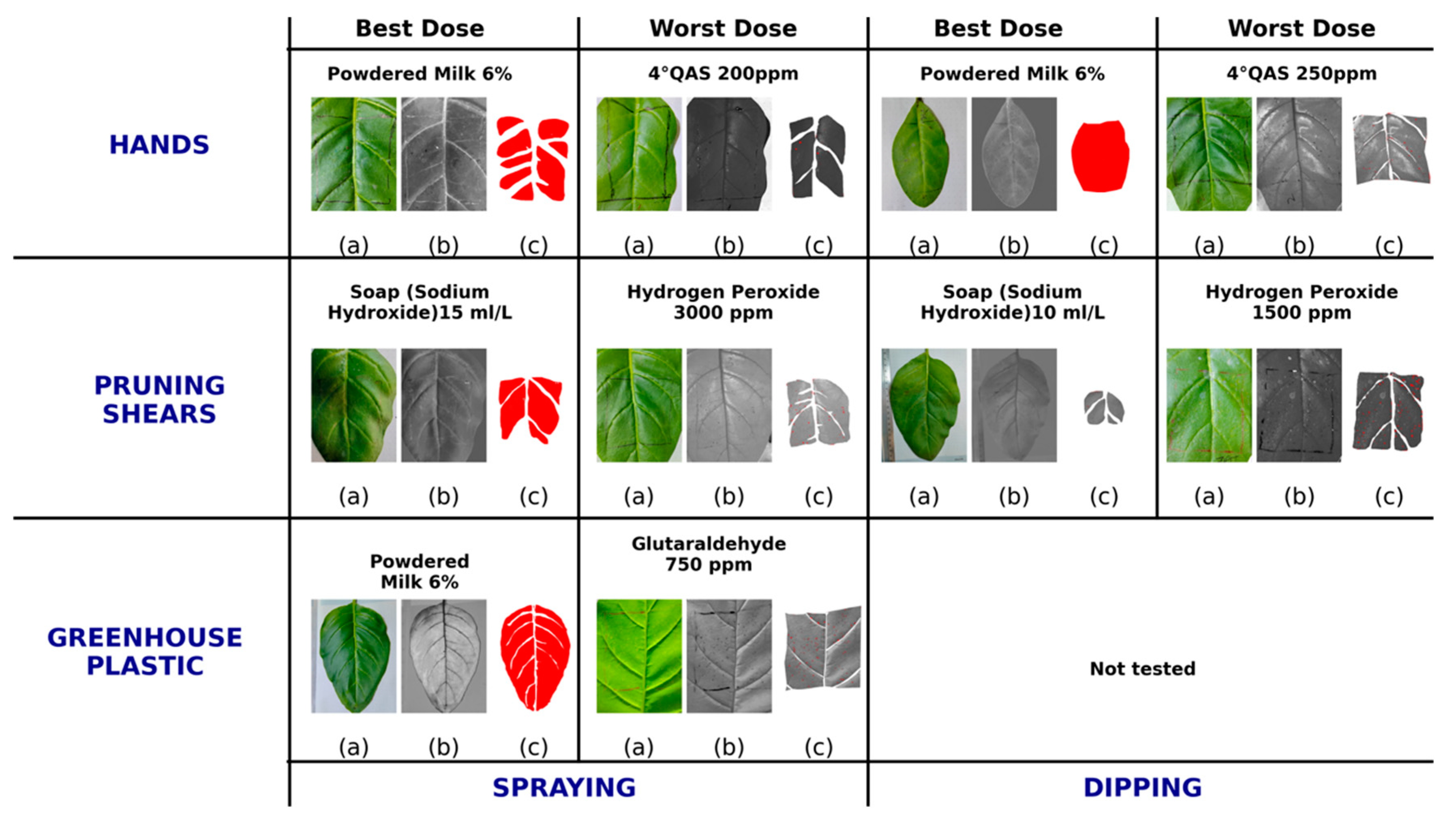 Agronomy 16 00015 g004