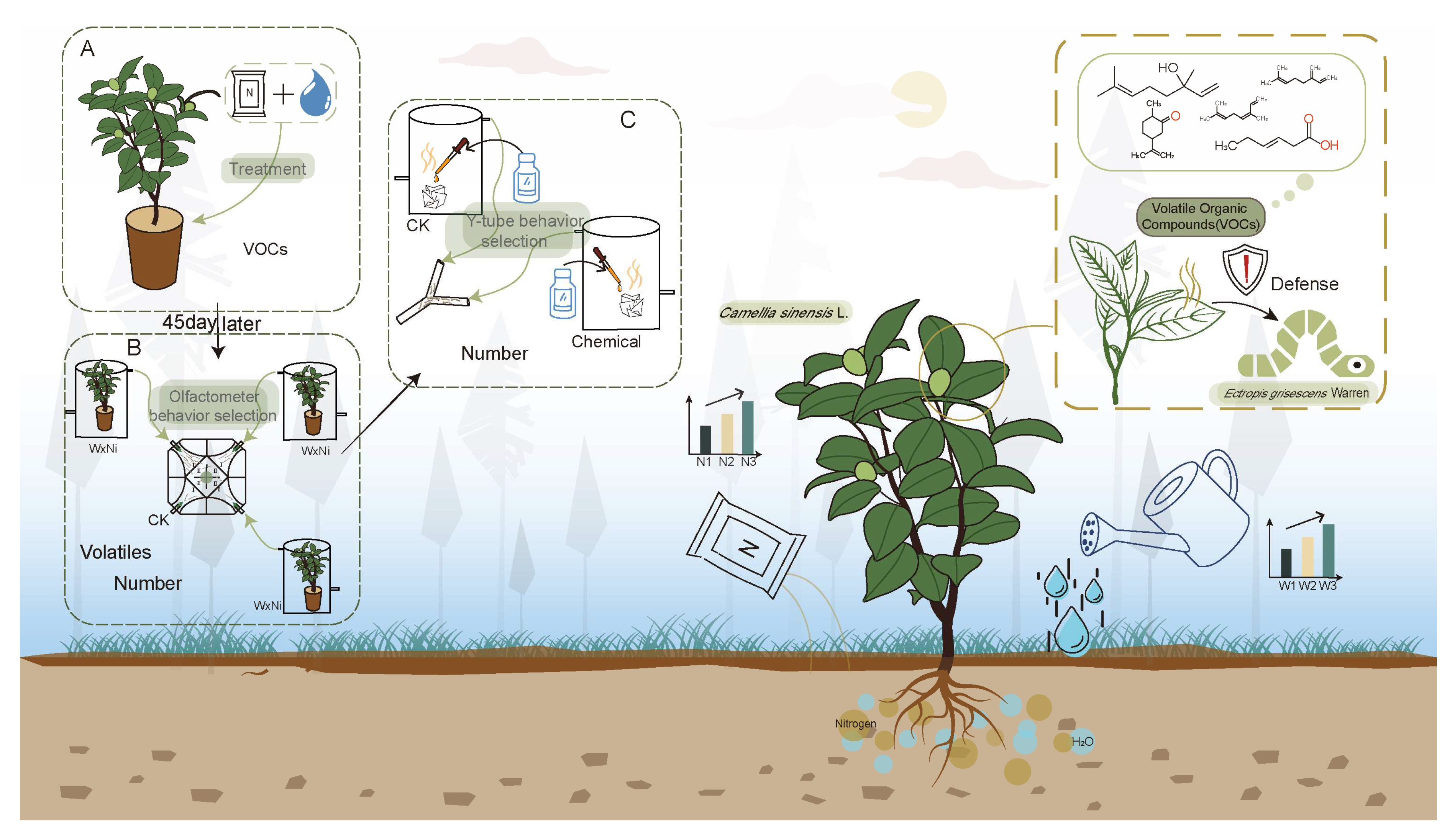 Agronomy 16 00018 g006