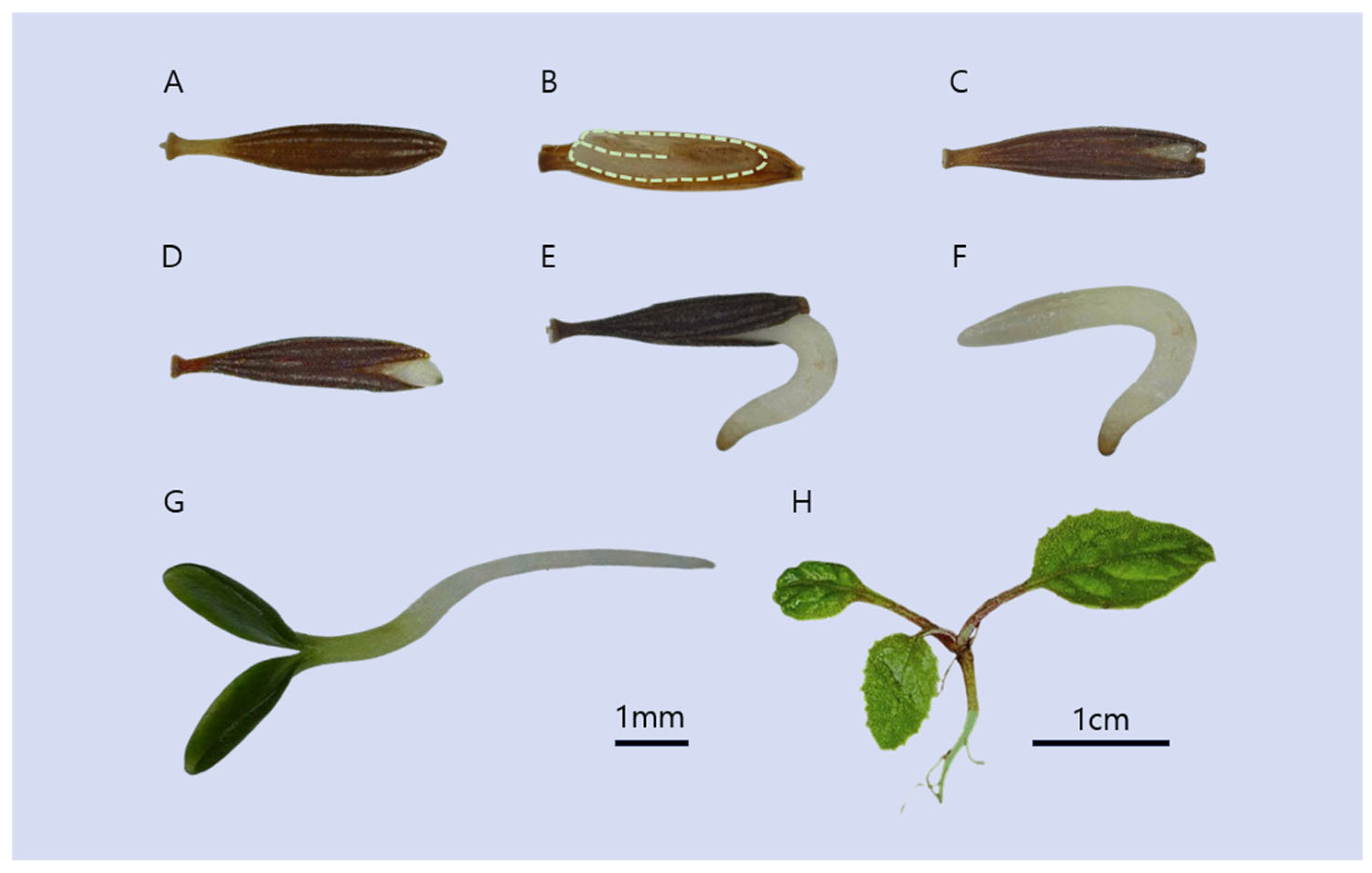 Agronomy 16 00023 g001
