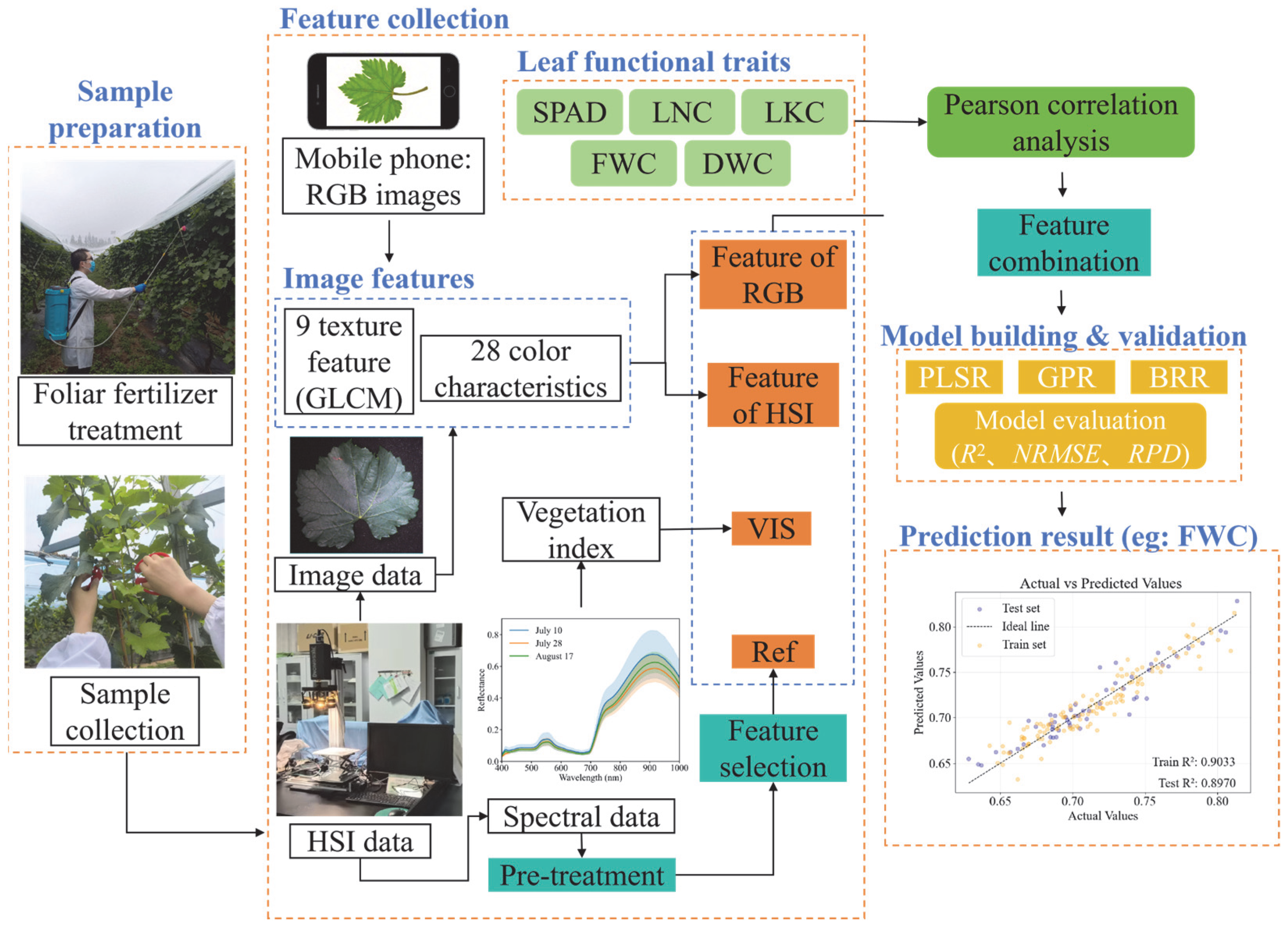 Agronomy 16 00029 g001