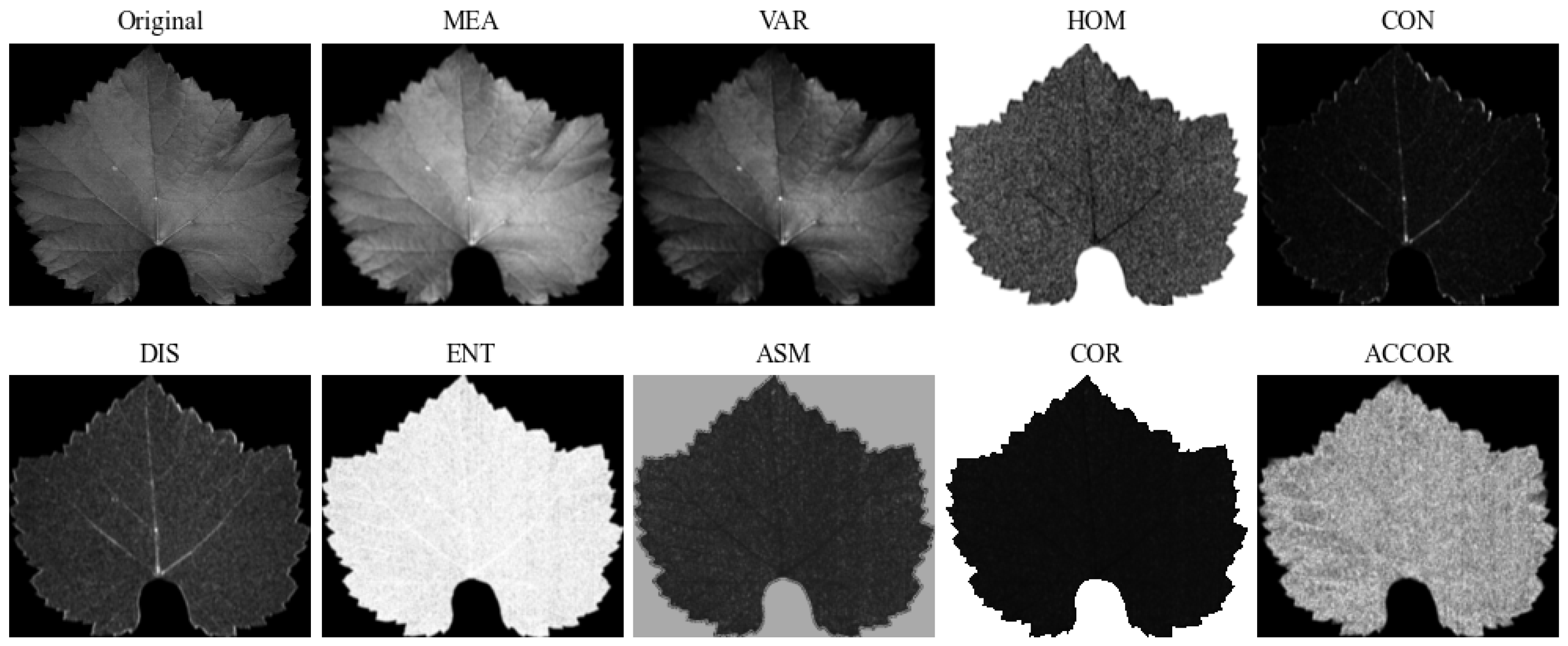 Agronomy 16 00029 g002