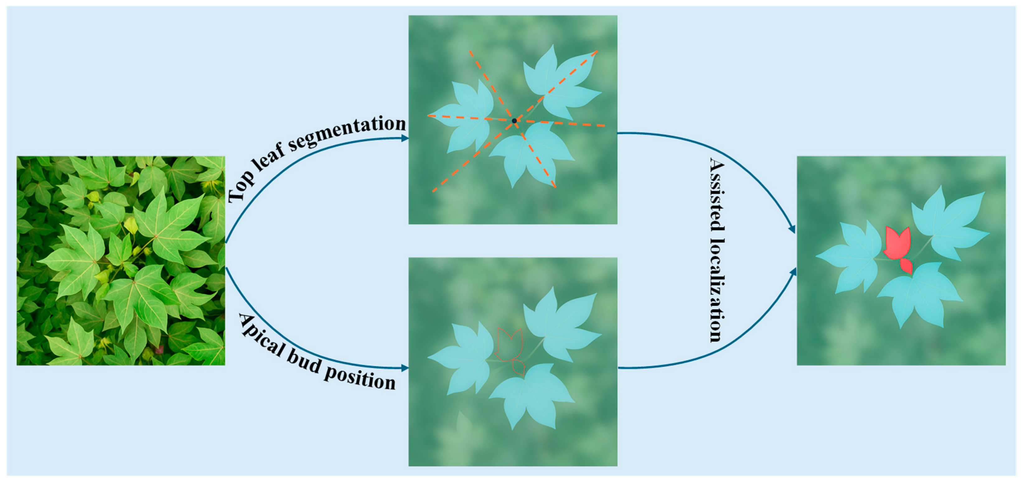 Agronomy 16 00030 g001