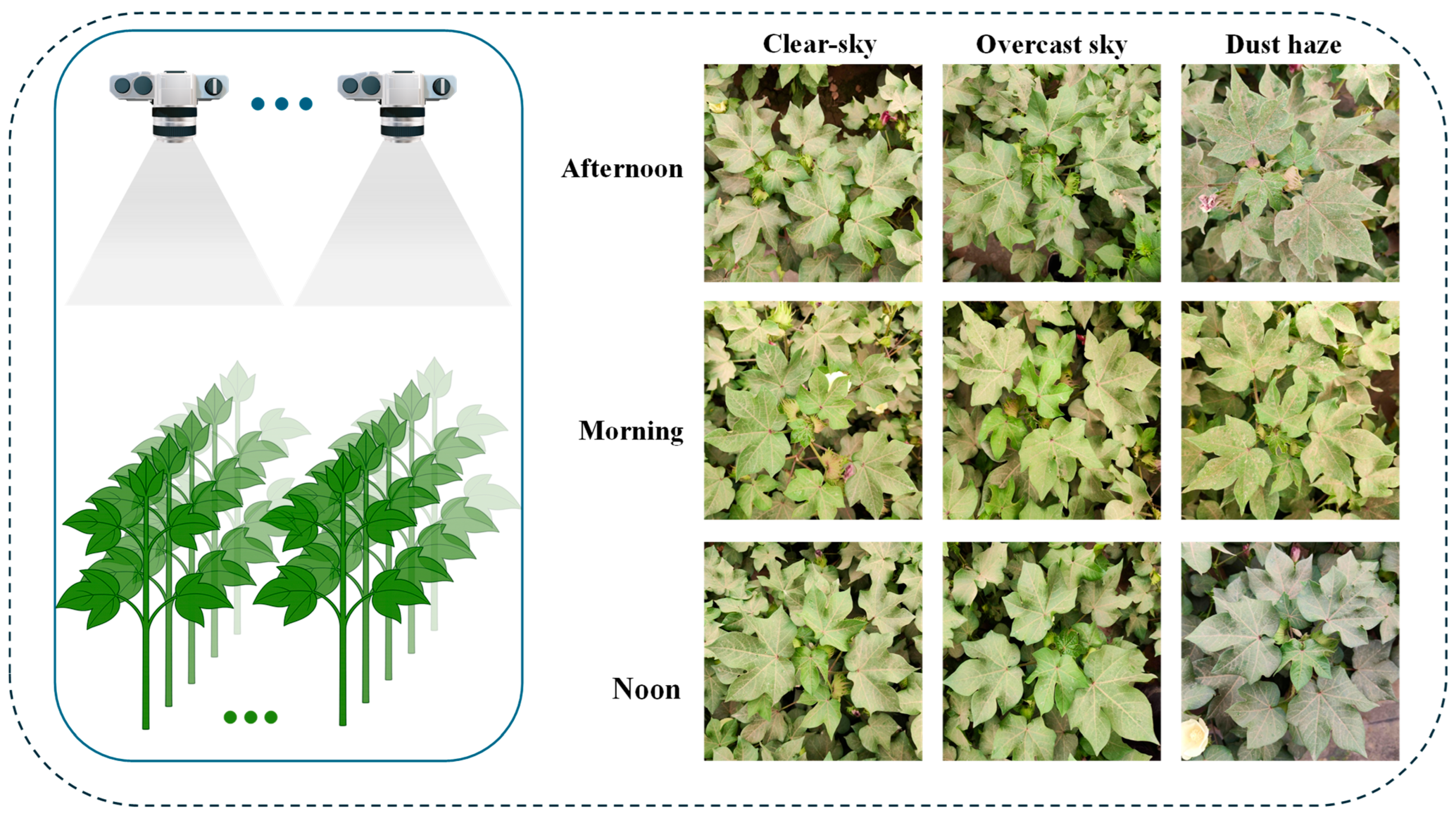 Agronomy 16 00030 g002