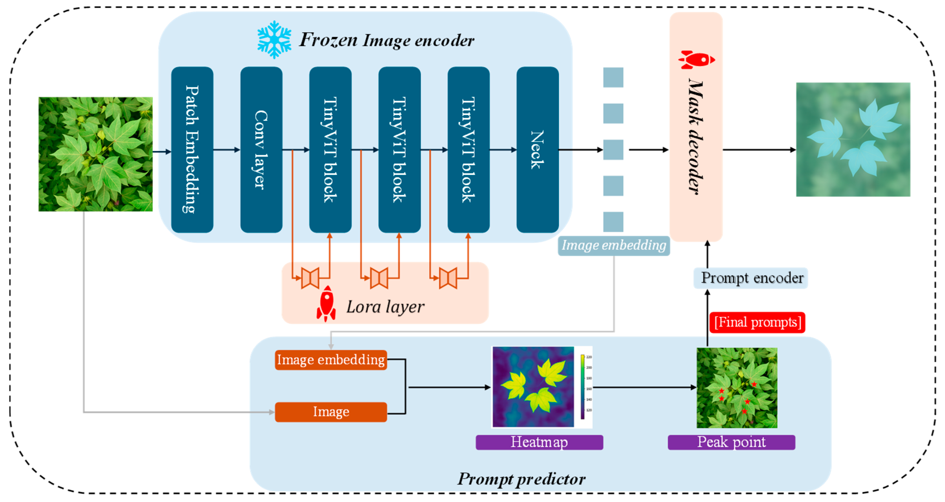 Agronomy 16 00030 g004