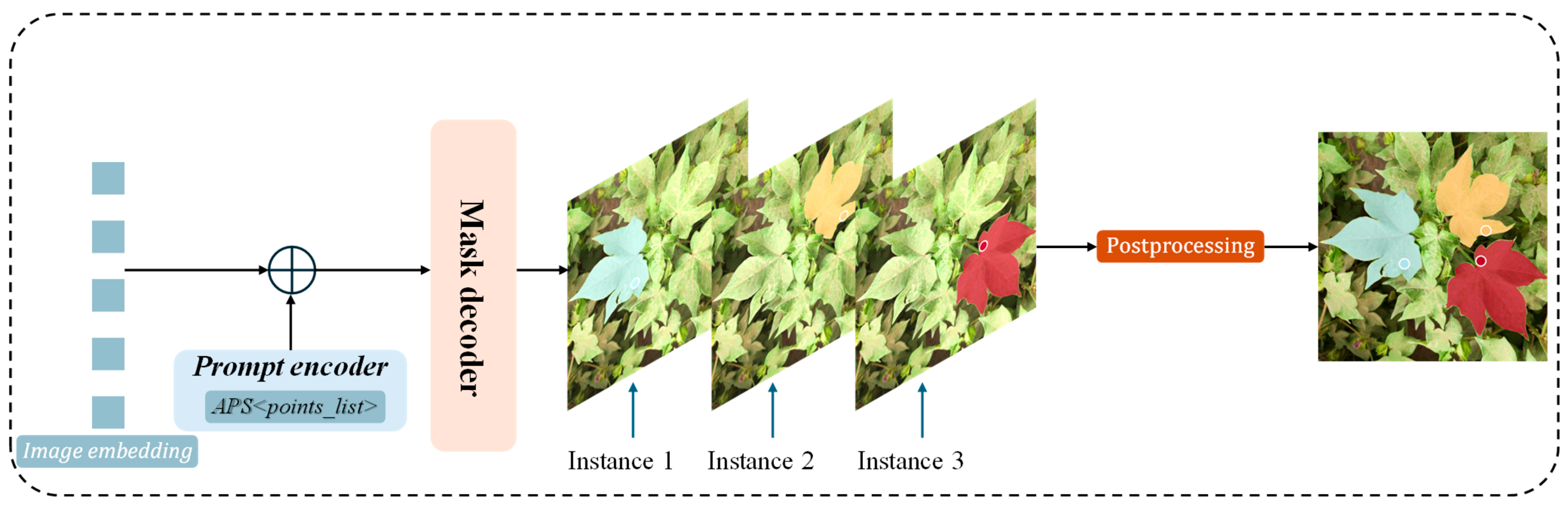 Agronomy 16 00030 g007