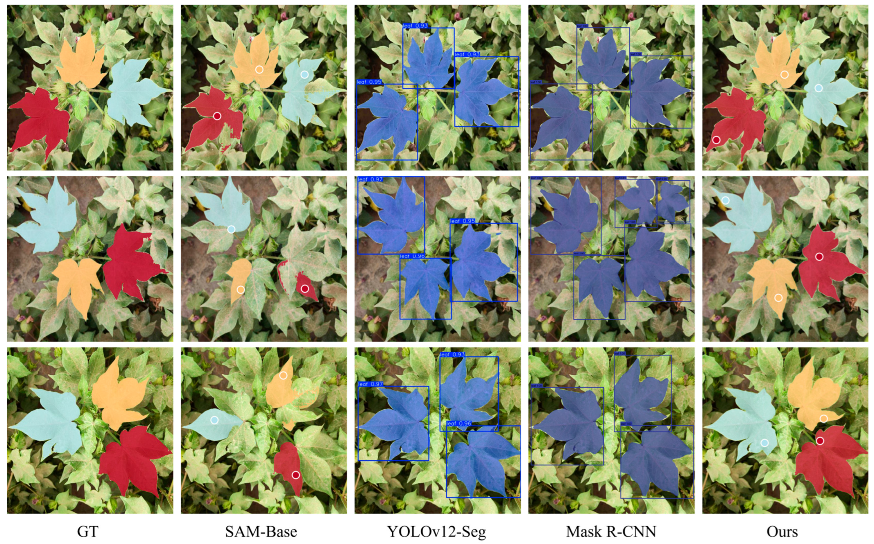 Agronomy 16 00030 g009