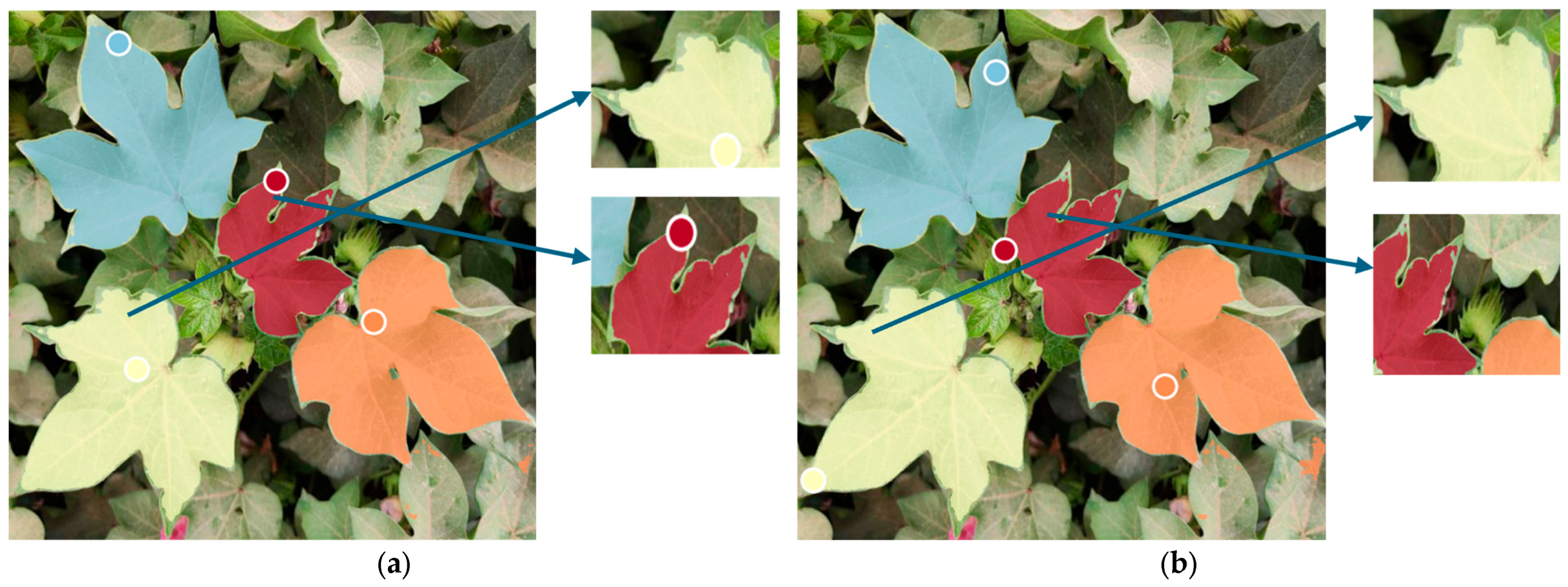 Agronomy 16 00030 g011a