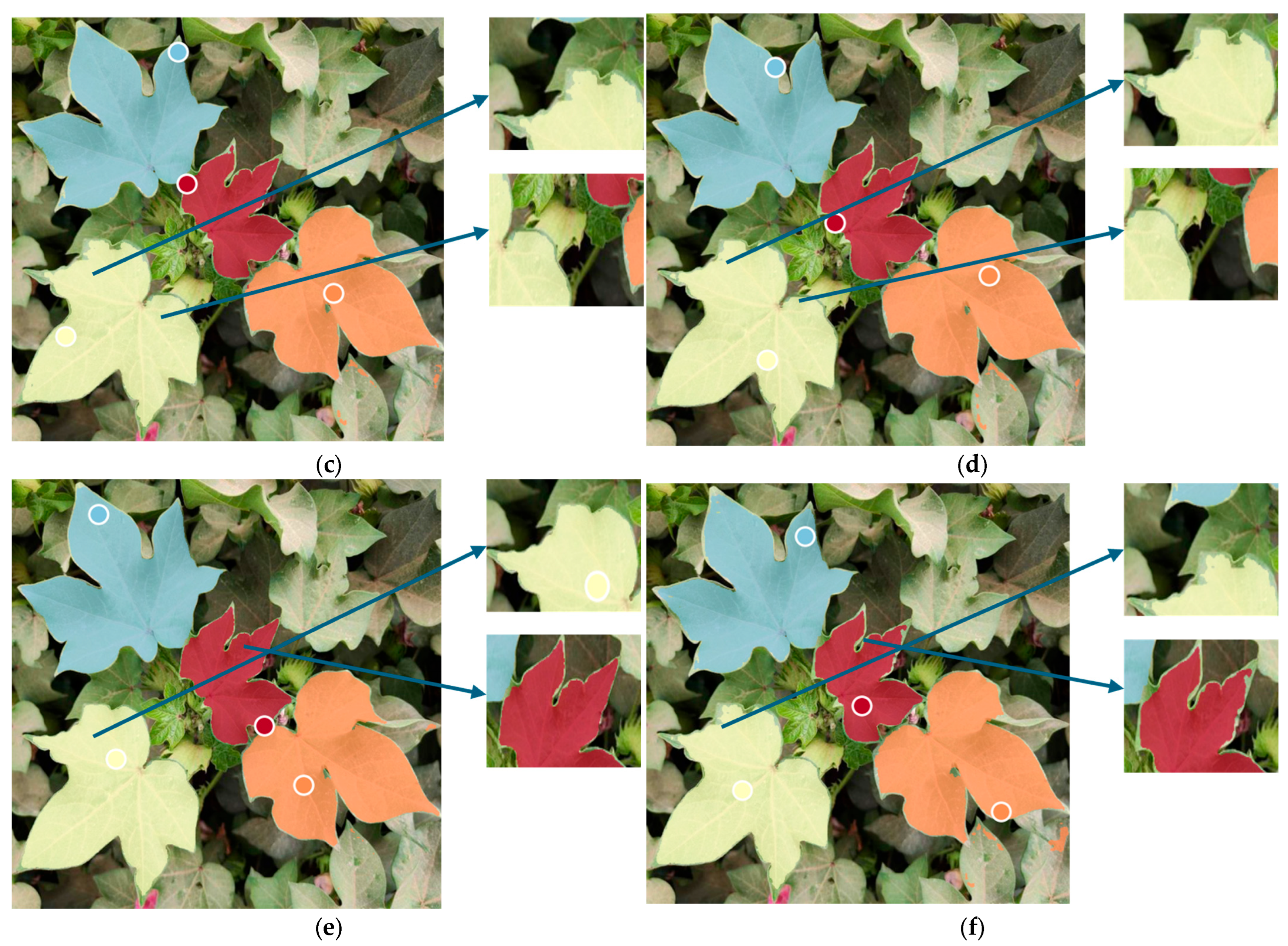 Agronomy 16 00030 g011b